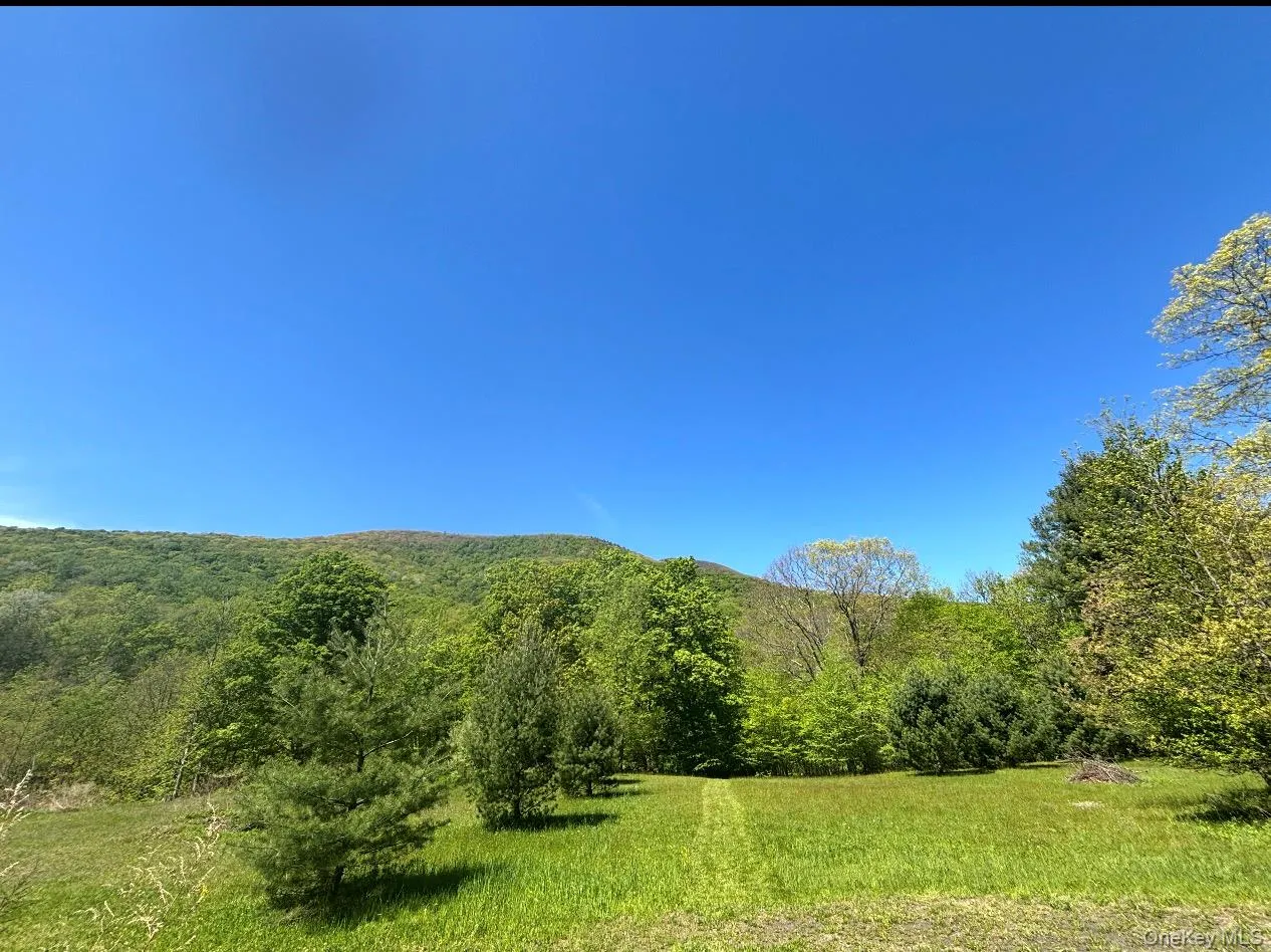 10 Kolb Road, Olive, NY, 3 Bedrooms Bedrooms, 7 Rooms Rooms,2 BathroomsBathrooms,Residential,For Rent,Kolb,0,1012758 10 Kolb Road, Olive, NY, 3 Bedrooms Bedrooms, 7 Rooms Rooms,2 BathroomsBathrooms,Residential,For Rent,Kolb,0,1012758