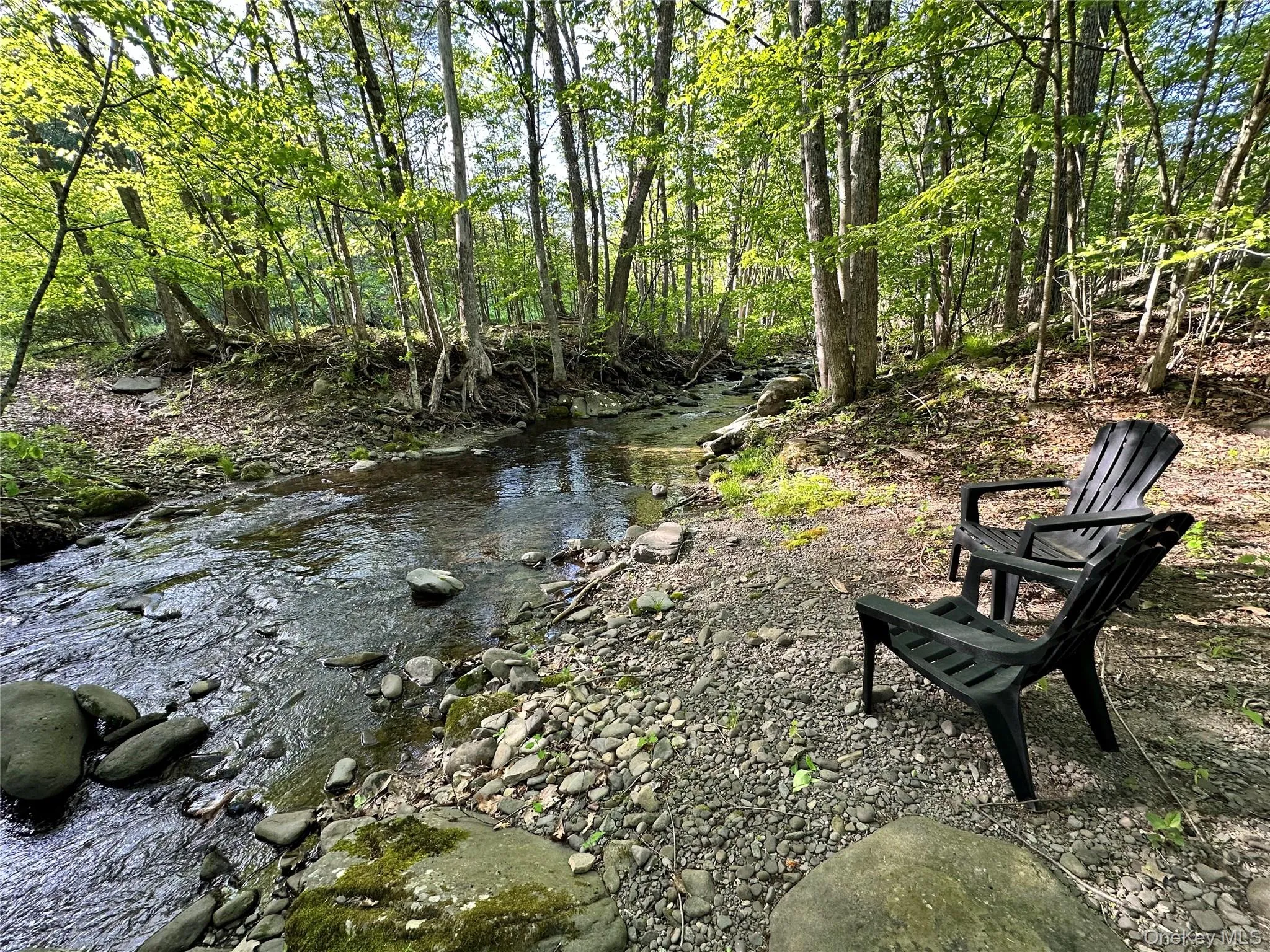 10 Kolb Road, Olive, NY, 3 Bedrooms Bedrooms, 7 Rooms Rooms,2 BathroomsBathrooms,Residential,For Rent,Kolb,0,1012758 10 Kolb Road, Olive, NY, 3 Bedrooms Bedrooms, 7 Rooms Rooms,2 BathroomsBathrooms,Residential,For Rent,Kolb,0,1012758