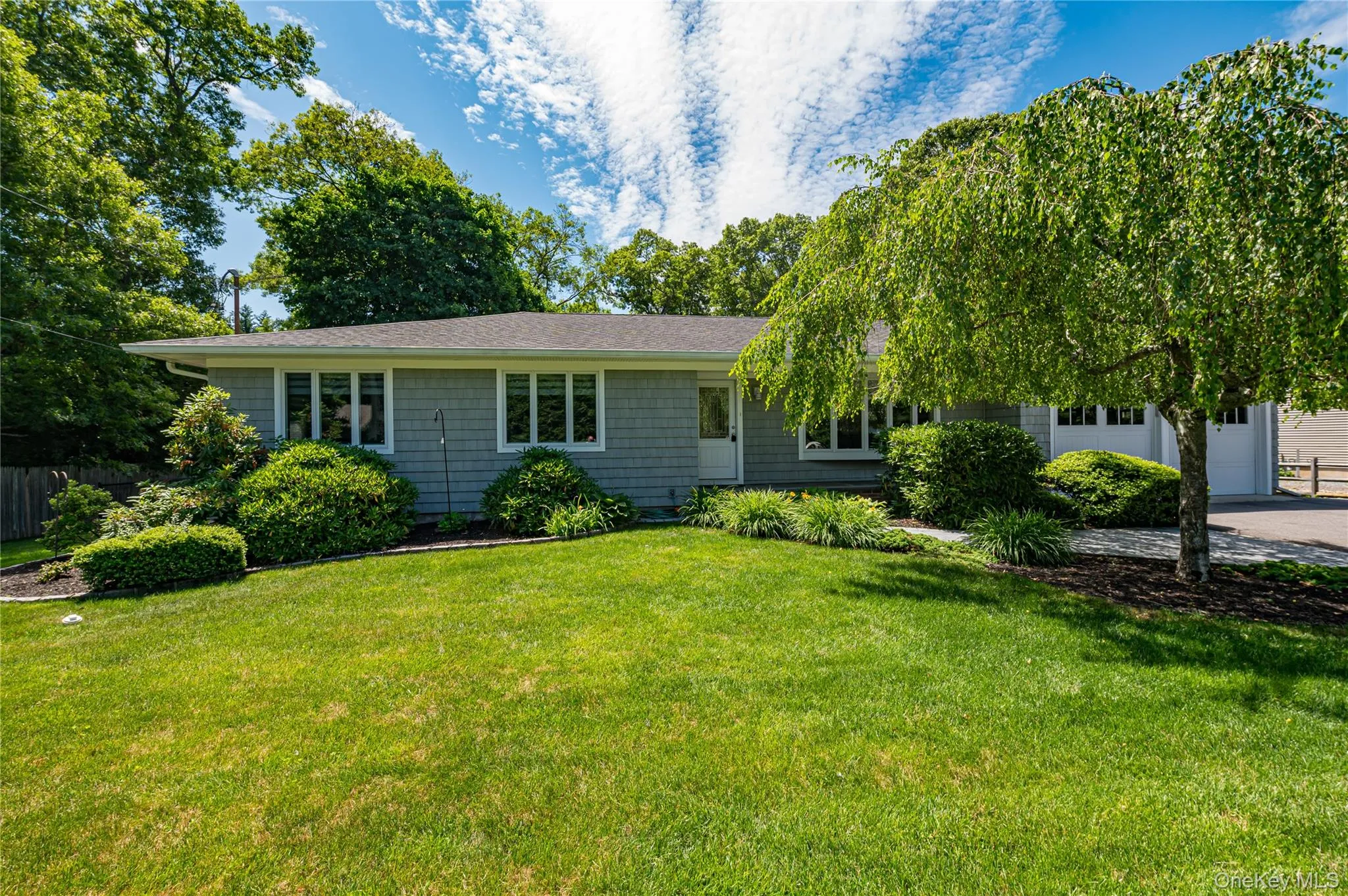 Professional Landscaping with Speciman Trees and Perennial Plants Professional Landscaping with Speciman Trees and Perennial Plants