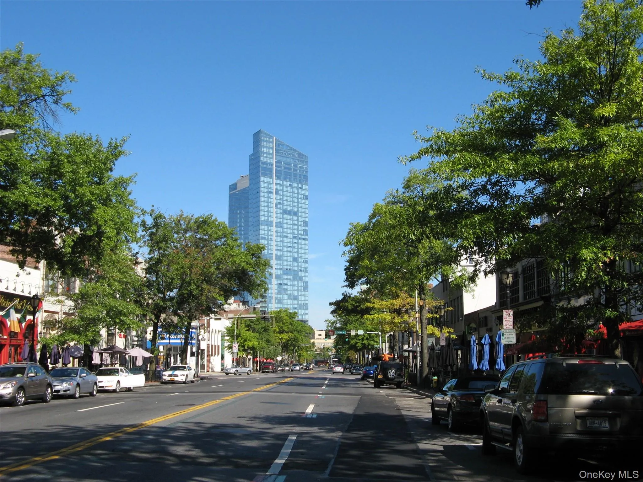 Vibrant downtown White Plains features a wide array of cuisine, entertainment and world class shopping. Vibrant downtown White Plains features a wide array of cuisine, entertainment and world class shopping.
