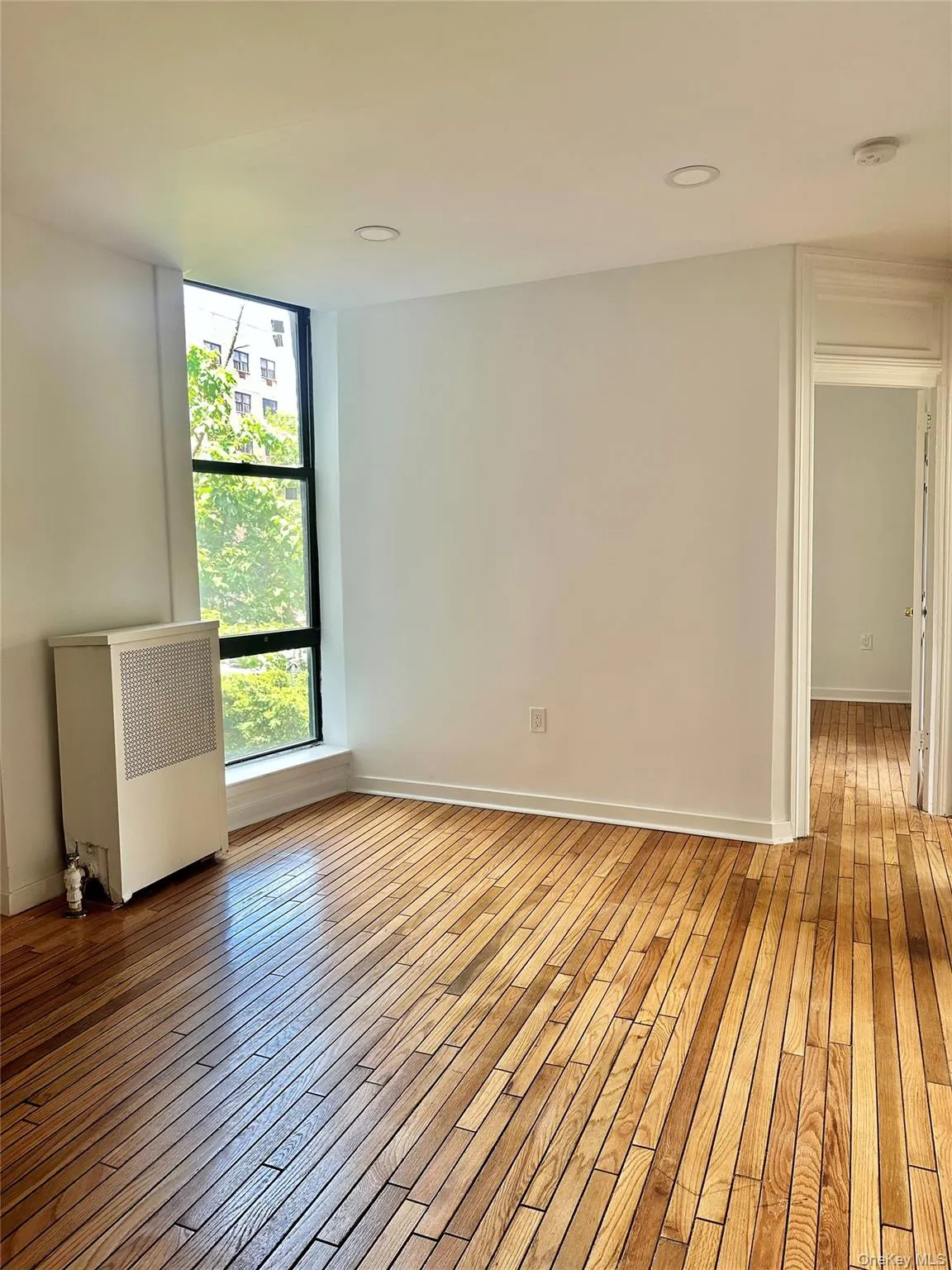 2120 Mapes Avenue, New York, NY, 2 Bedrooms Bedrooms, 4 Rooms Rooms,1 BathroomBathrooms,Residential,For Rent,Mapes,0,1012792 2120 Mapes Avenue, New York, NY, 2 Bedrooms Bedrooms, 4 Rooms Rooms,1 BathroomBathrooms,Residential,For Rent,Mapes,0,1012792