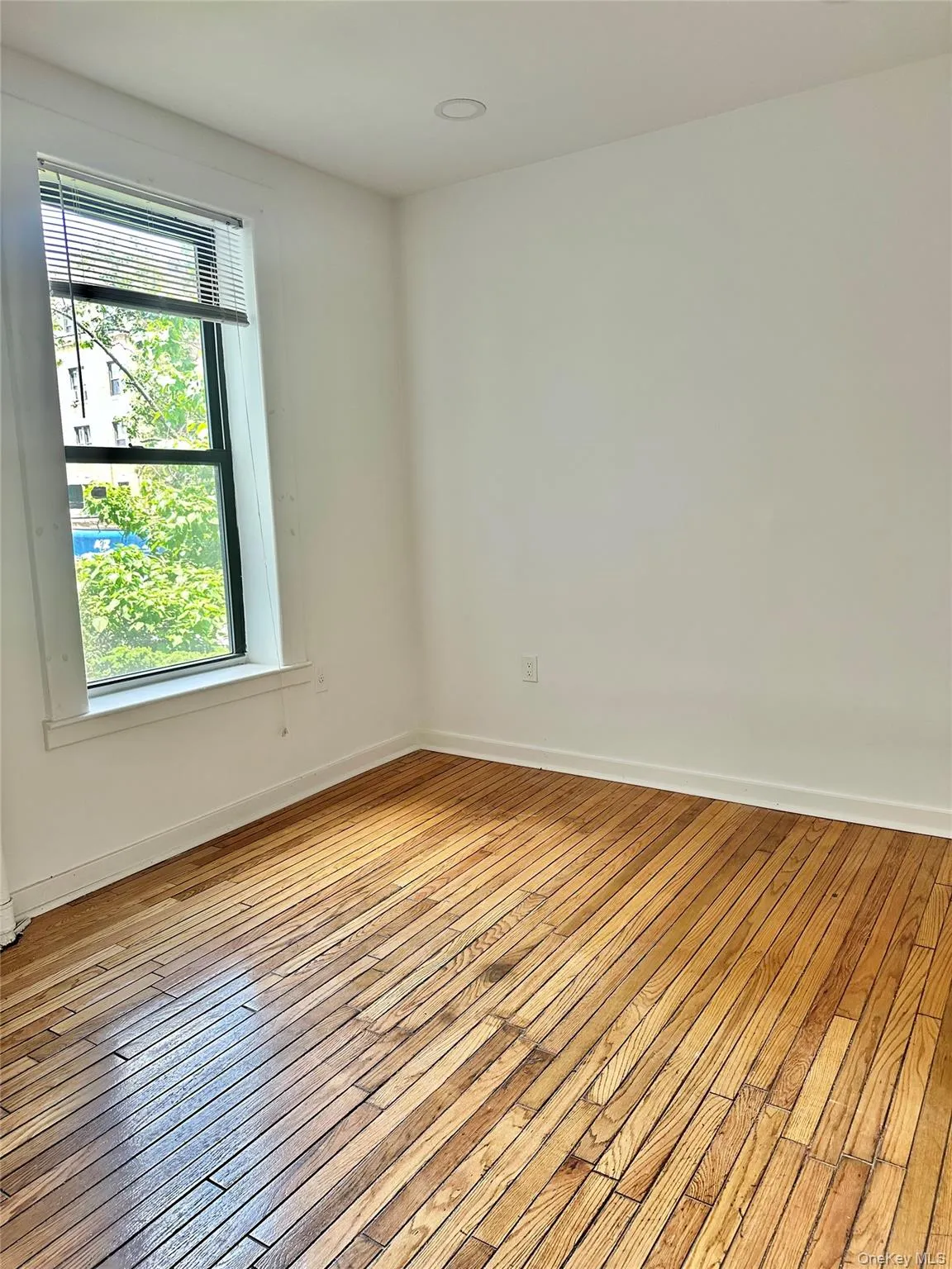 2120 Mapes Avenue, New York, NY, 2 Bedrooms Bedrooms, 4 Rooms Rooms,1 BathroomBathrooms,Residential,For Rent,Mapes,0,1012792 2120 Mapes Avenue, New York, NY, 2 Bedrooms Bedrooms, 4 Rooms Rooms,1 BathroomBathrooms,Residential,For Rent,Mapes,0,1012792