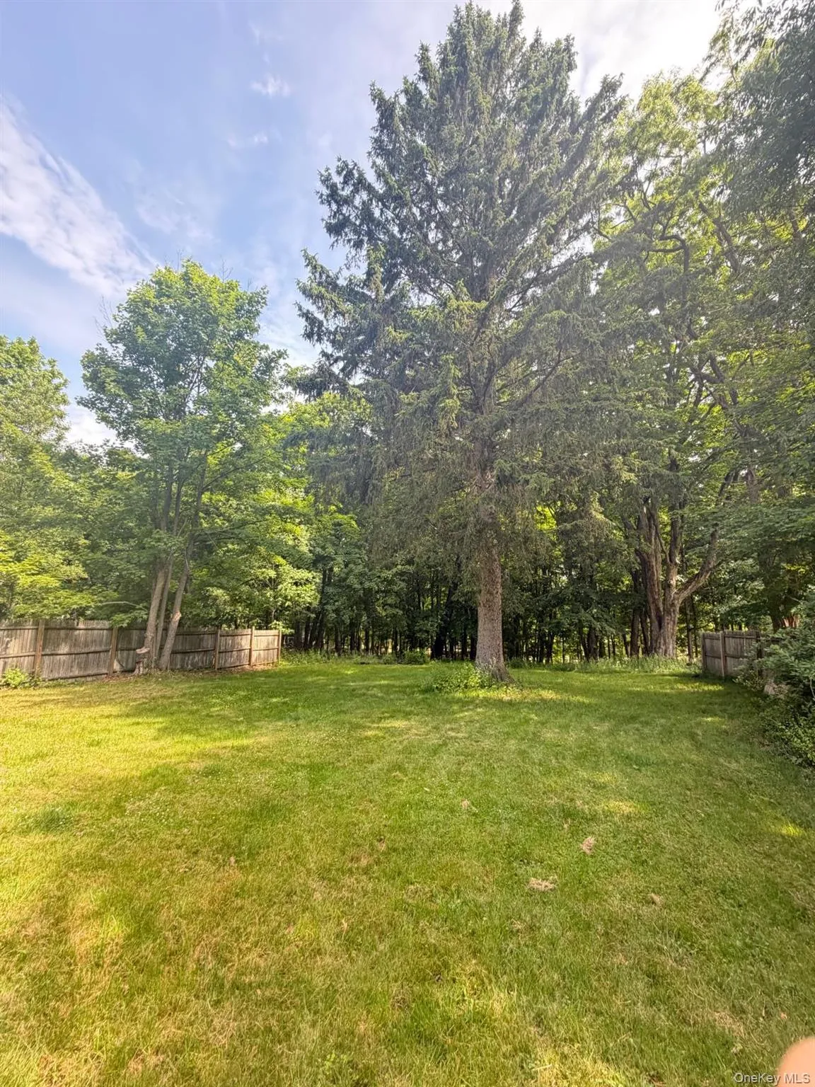 35 Starr Avenue, Thompson, NY, 3 Bedrooms Bedrooms, 7 Rooms Rooms,1 BathroomBathrooms,Residential,For Rent,Starr Avenue,0,1012822 35 Starr Avenue, Thompson, NY, 3 Bedrooms Bedrooms, 7 Rooms Rooms,1 BathroomBathrooms,Residential,For Rent,Starr Avenue,0,1012822