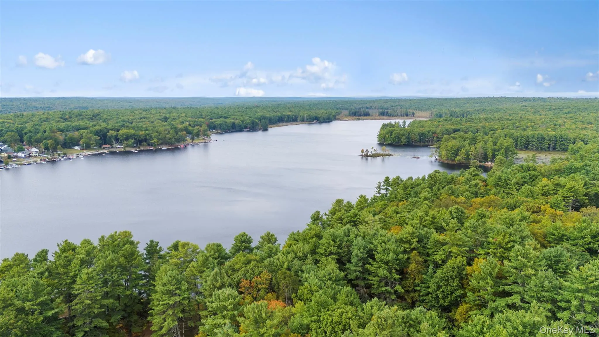 Water view with a heavily wooded area Water view with a heavily wooded area
