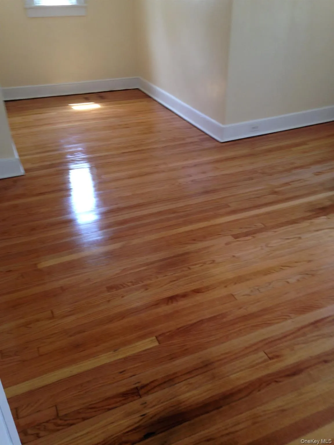 1 Hammond Street, Thompson, NY, 3 Bedrooms Bedrooms, 6 Rooms Rooms,1 BathroomBathrooms,Residential,For Rent,Hammond,0,1012831 1 Hammond Street, Thompson, NY, 3 Bedrooms Bedrooms, 6 Rooms Rooms,1 BathroomBathrooms,Residential,For Rent,Hammond,0,1012831