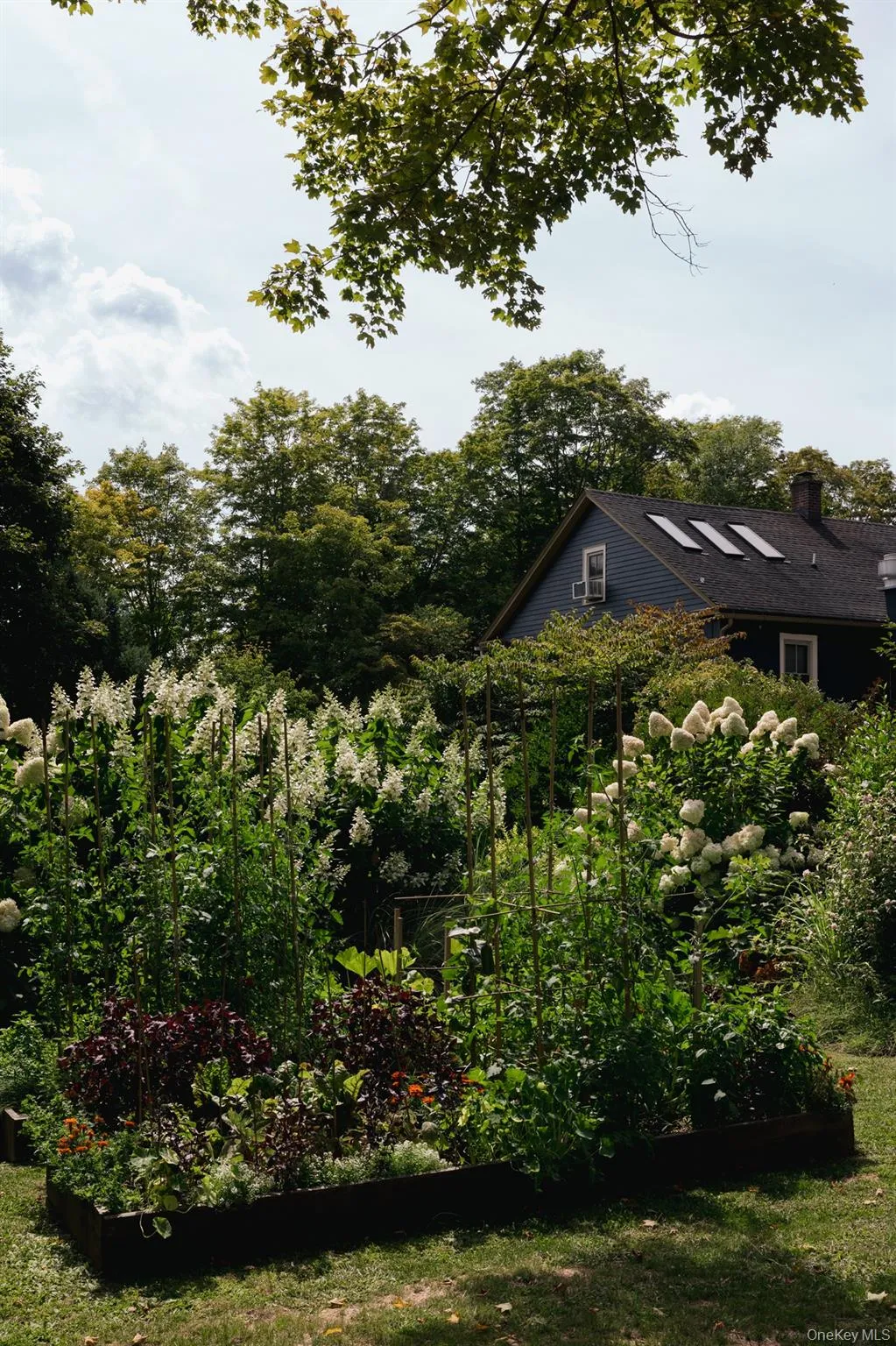6 Autumn Lane, Amenia, NY, 3 Bedrooms Bedrooms, 5 Rooms Rooms,1 BathroomBathrooms,Residential,For Rent,Autumn,0,1012838 6 Autumn Lane, Amenia, NY, 3 Bedrooms Bedrooms, 5 Rooms Rooms,1 BathroomBathrooms,Residential,For Rent,Autumn,0,1012838