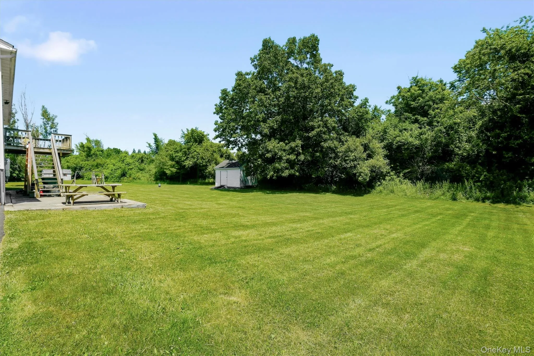 Enormous backyard Enormous backyard