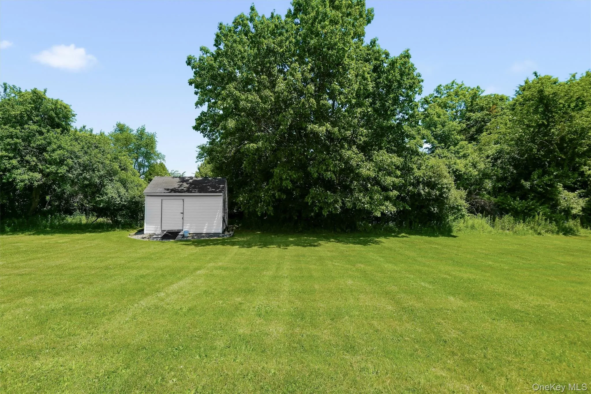 Shed Shed