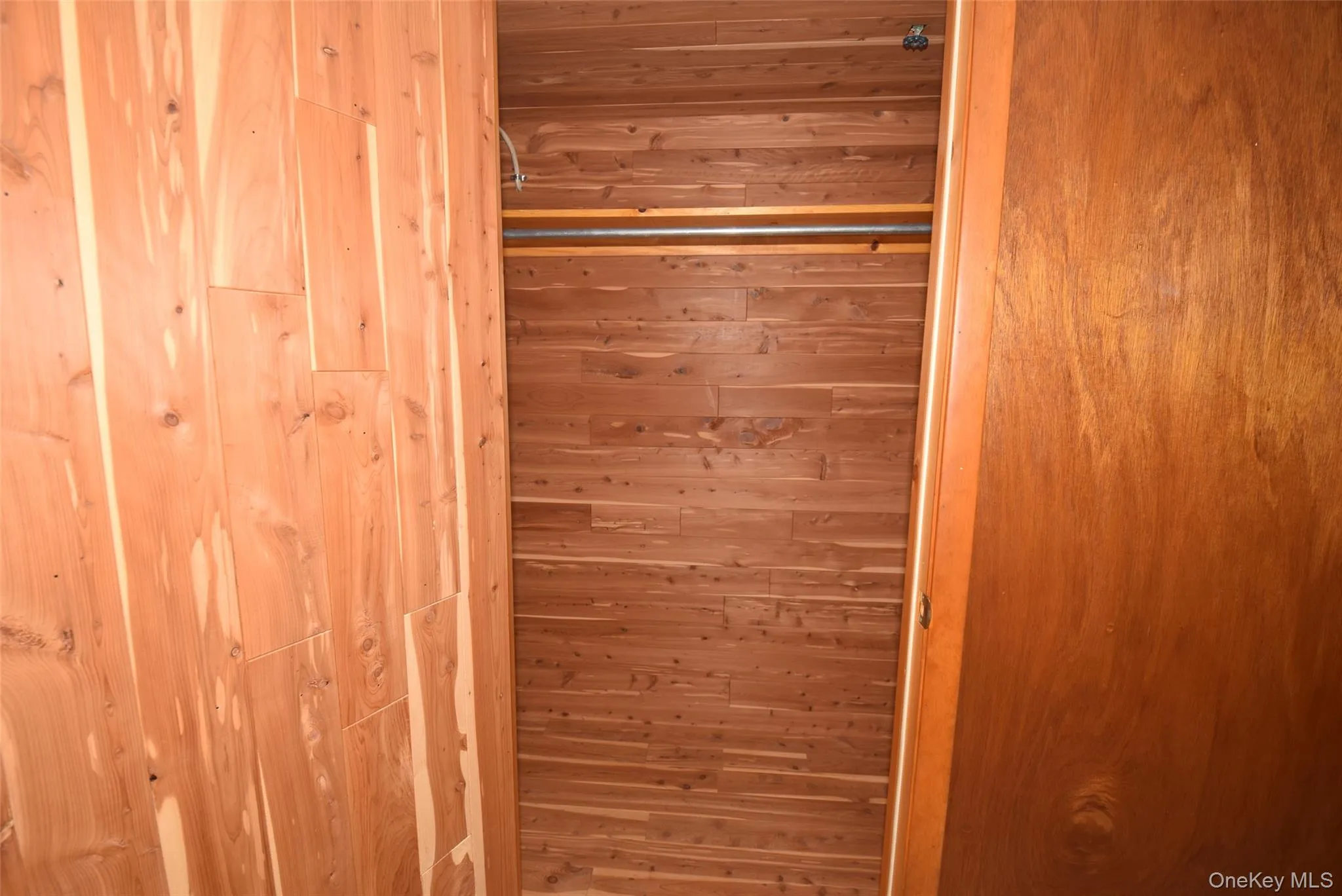 Cedar Cedar