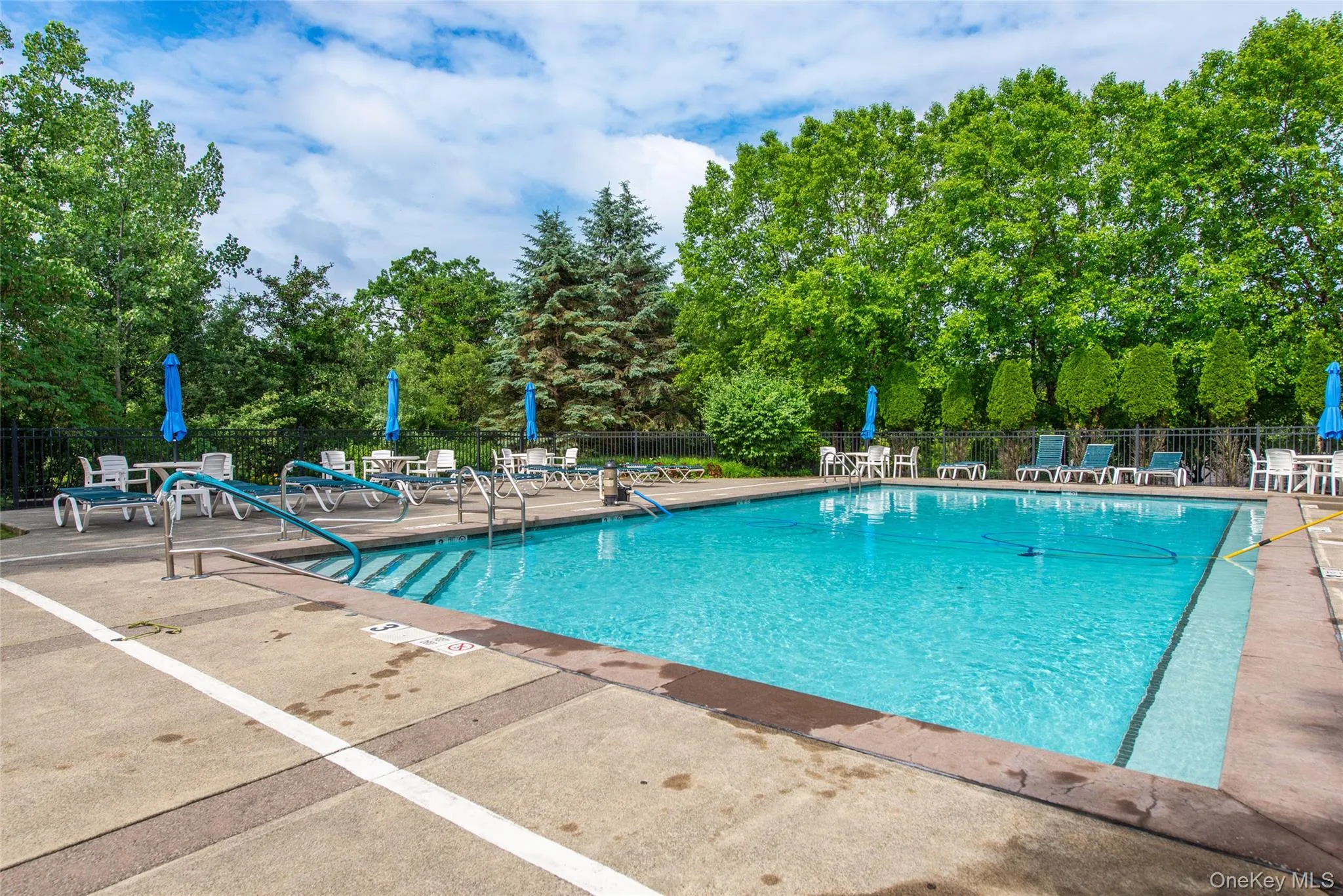 Rectangular swimming pool with integrated steps, surrounded by a concrete deck Rectangular swimming pool with integrated steps, surrounded by a concrete deck