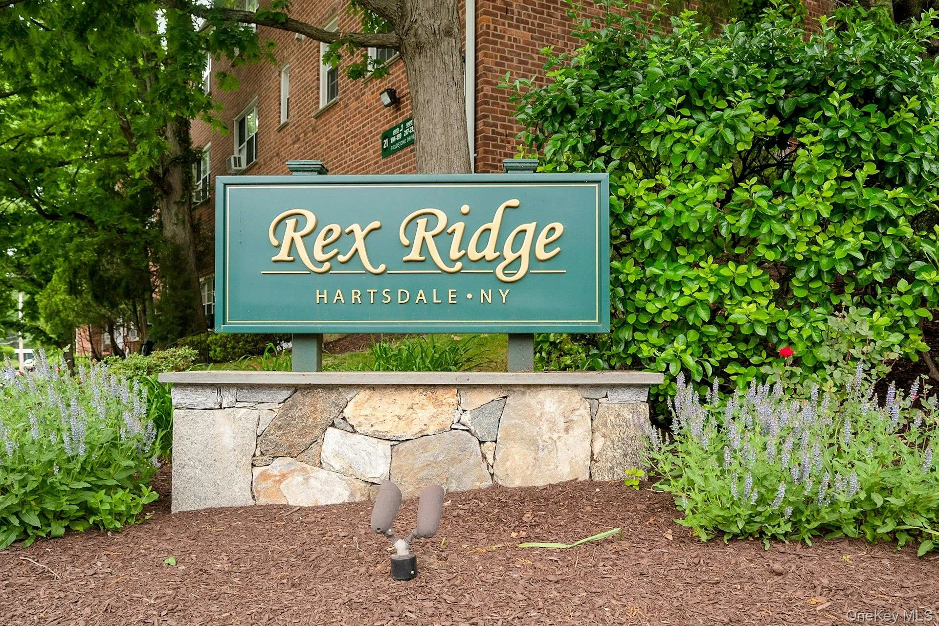 Welcome to Rex Ridge! Welcome to Rex Ridge!