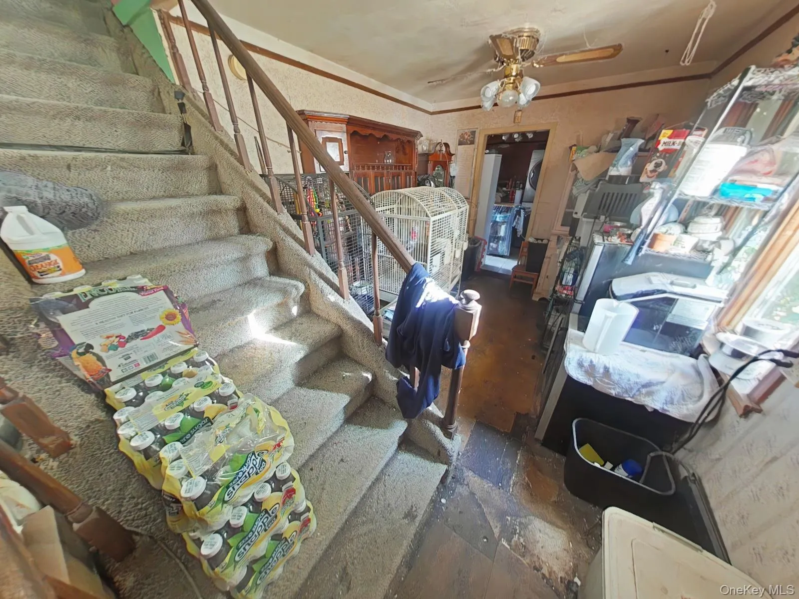 7 Lily Lane, Hempstead, NY, 4 Bedrooms Bedrooms, 8 Rooms Rooms,2 BathroomsBathrooms,Residential,For Rent,Lily,0,1012863 7 Lily Lane, Hempstead, NY, 4 Bedrooms Bedrooms, 8 Rooms Rooms,2 BathroomsBathrooms,Residential,For Rent,Lily,0,1012863