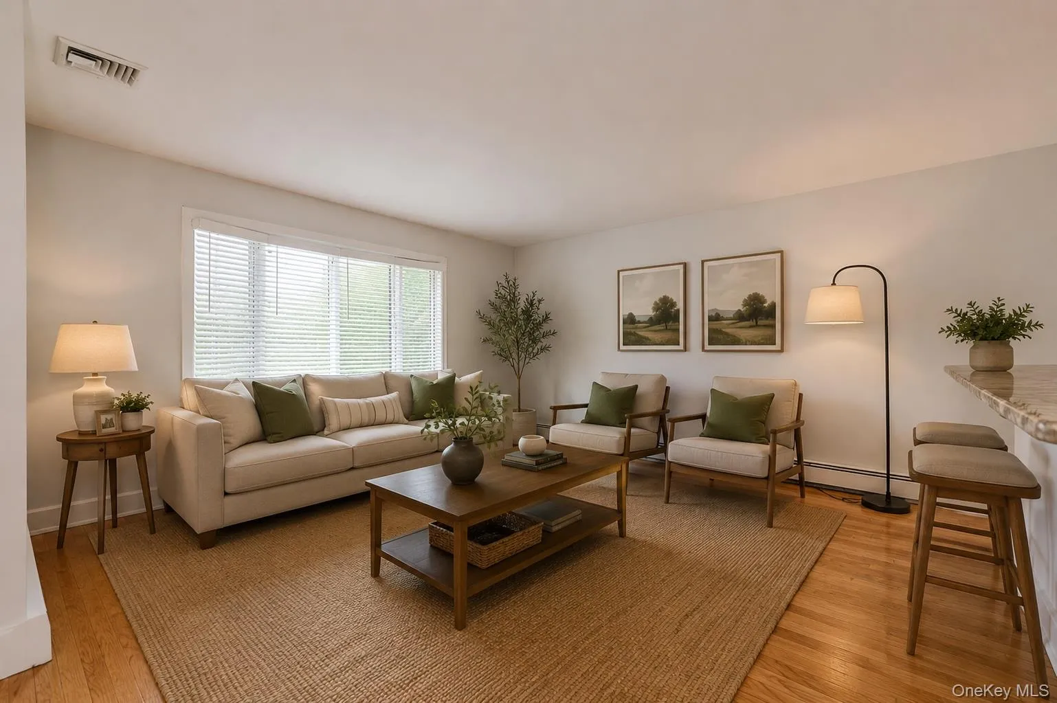 Living Room Virtually Staged Living Room Virtually Staged