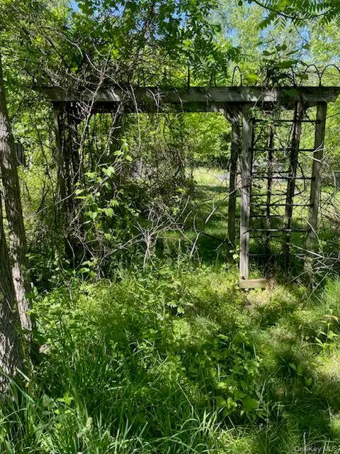 There are a number of trellis's throughout the property with vines on them. There are a number of trellis's throughout the property with vines on them.