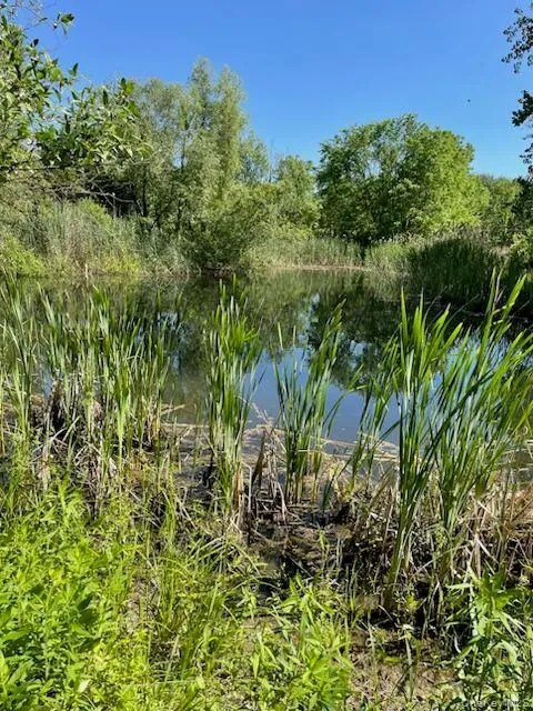 Private and secluded in rear of property Private and secluded in rear of property