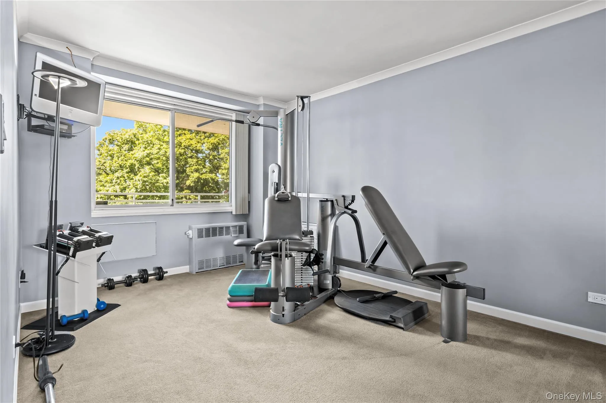 Gym/2nd Bedroom Gym/2nd Bedroom