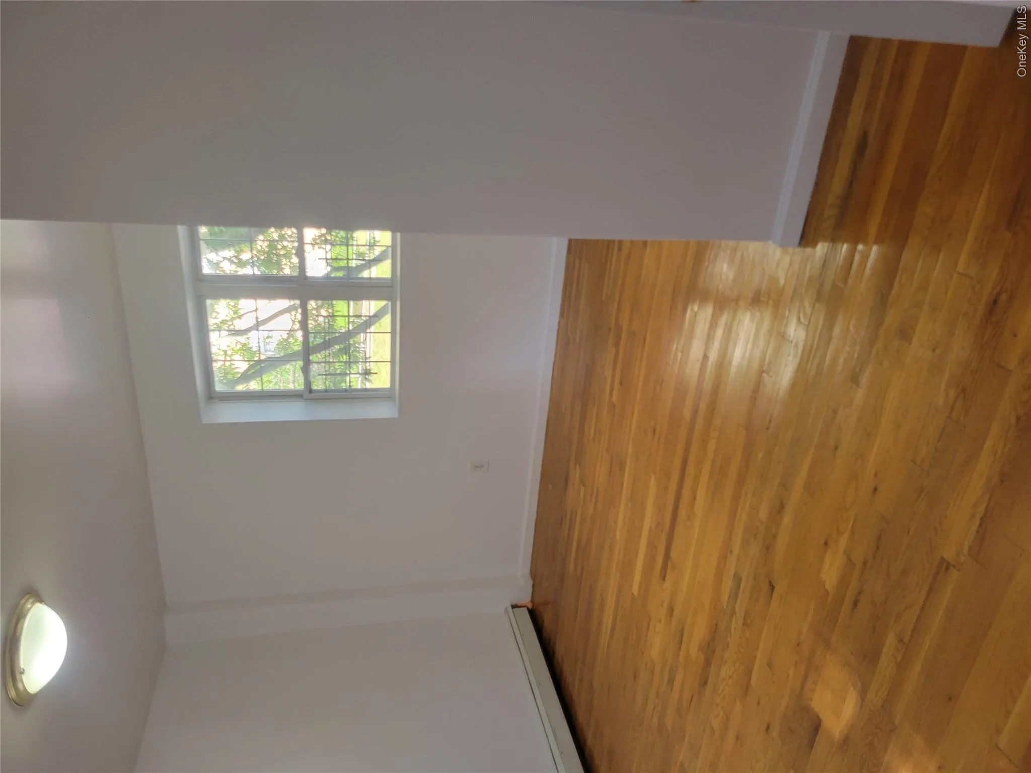 2407 Barker Avenue, New York, NY, 3 Bedrooms Bedrooms, 7 Rooms Rooms,2 BathroomsBathrooms,Residential Lease,For Rent,Barker,0,1012932 2407 Barker Avenue, New York, NY, 3 Bedrooms Bedrooms, 7 Rooms Rooms,2 BathroomsBathrooms,Residential Lease,For Rent,Barker,0,1012932