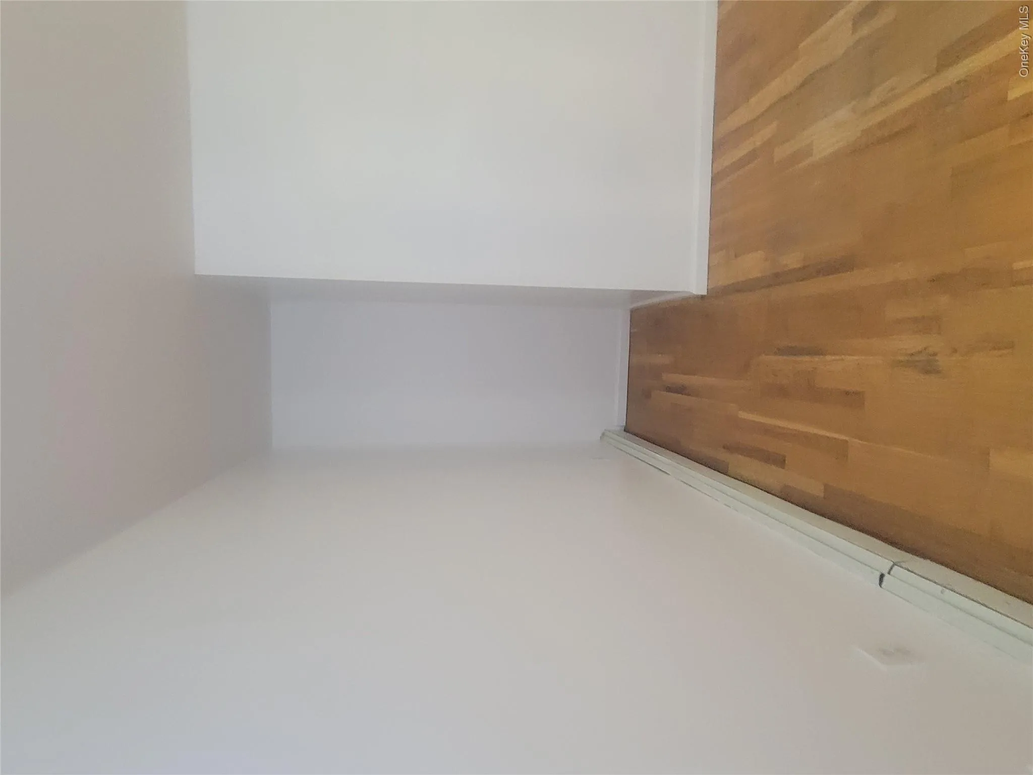 2407 Barker Avenue, New York, NY, 3 Bedrooms Bedrooms, 7 Rooms Rooms,2 BathroomsBathrooms,Residential Lease,For Rent,Barker,0,1012932 2407 Barker Avenue, New York, NY, 3 Bedrooms Bedrooms, 7 Rooms Rooms,2 BathroomsBathrooms,Residential Lease,For Rent,Barker,0,1012932