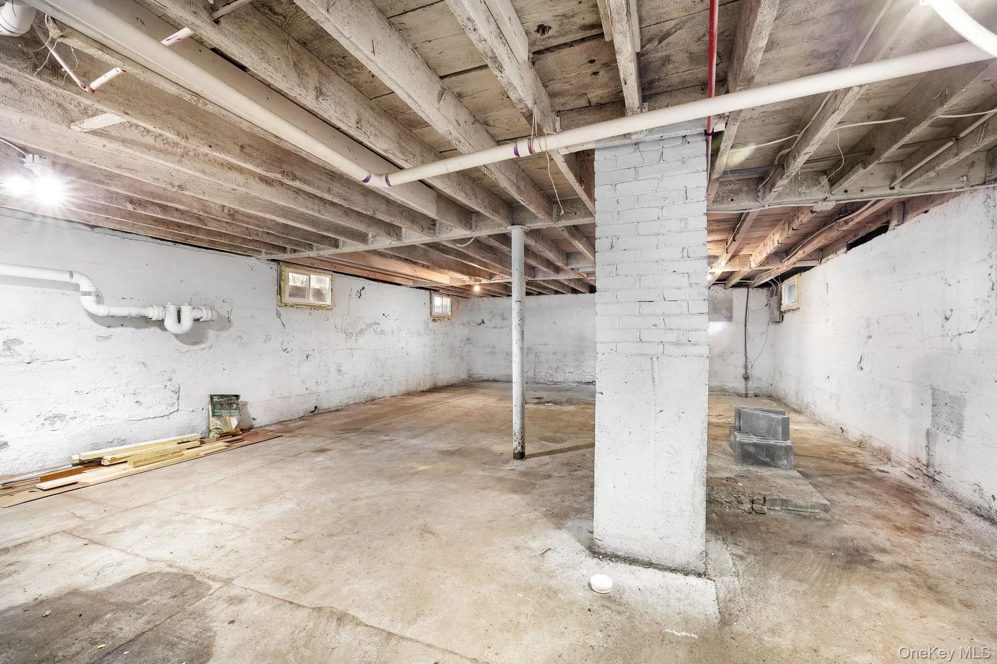 Basement (spot on floor is a stain) Basement (spot on floor is a stain)