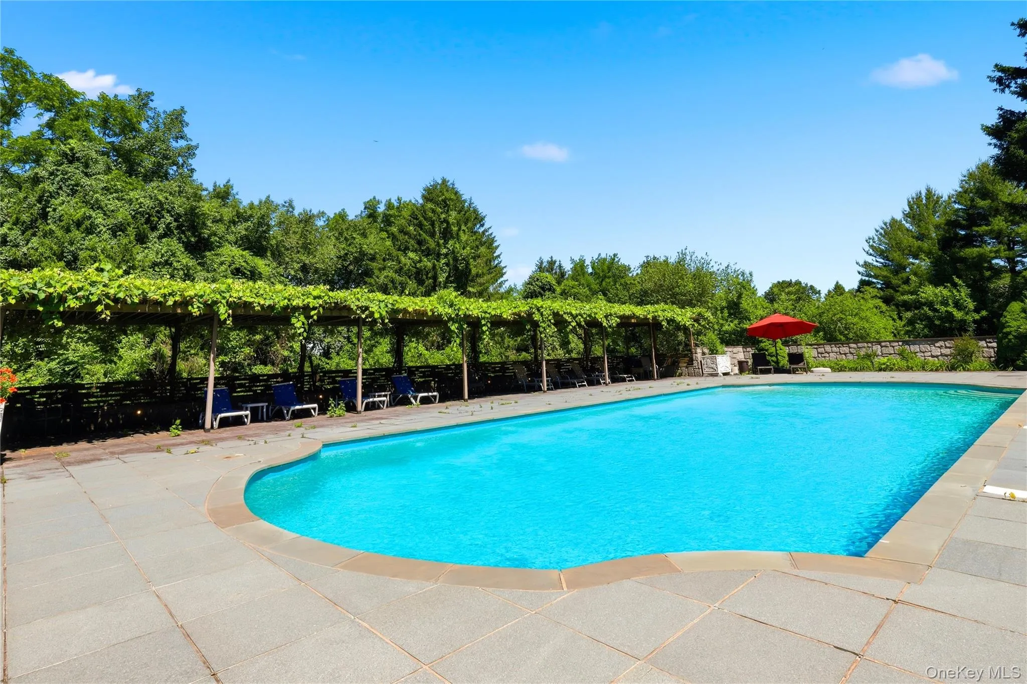 196 Mc Lain Street, Bedford, NY, 8 Bedrooms Bedrooms, 25 Rooms Rooms,9 BathroomsBathrooms,Residential,For Rent,Mc Lain,0,1012962 196 Mc Lain Street, Bedford, NY, 8 Bedrooms Bedrooms, 25 Rooms Rooms,9 BathroomsBathrooms,Residential,For Rent,Mc Lain,0,1012962