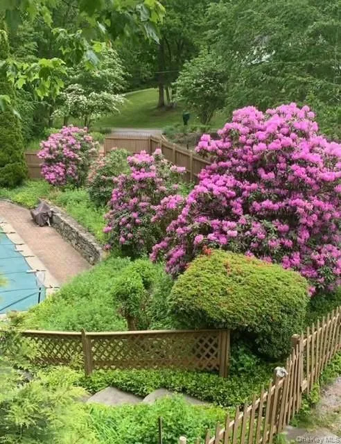 10 Highview Terrace, Somers, NY, 3 Bedrooms Bedrooms, 7 Rooms Rooms,3 BathroomsBathrooms,Residential,For Rent,Highview,0,1012971 10 Highview Terrace, Somers, NY, 3 Bedrooms Bedrooms, 7 Rooms Rooms,3 BathroomsBathrooms,Residential,For Rent,Highview,0,1012971