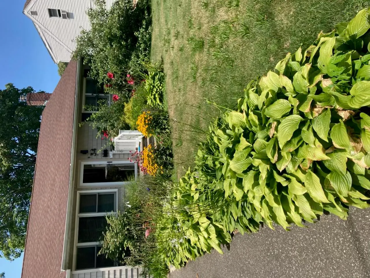 34 Woodhull Road, Huntington, NY, 3 Bedrooms Bedrooms, 6 Rooms Rooms,1 BathroomBathrooms,Residential Lease,For Rent,Woodhull,0,KEY1012994 34 Woodhull Road, Huntington, NY, 3 Bedrooms Bedrooms, 6 Rooms Rooms,1 BathroomBathrooms,Residential Lease,For Rent,Woodhull,0,KEY1012994