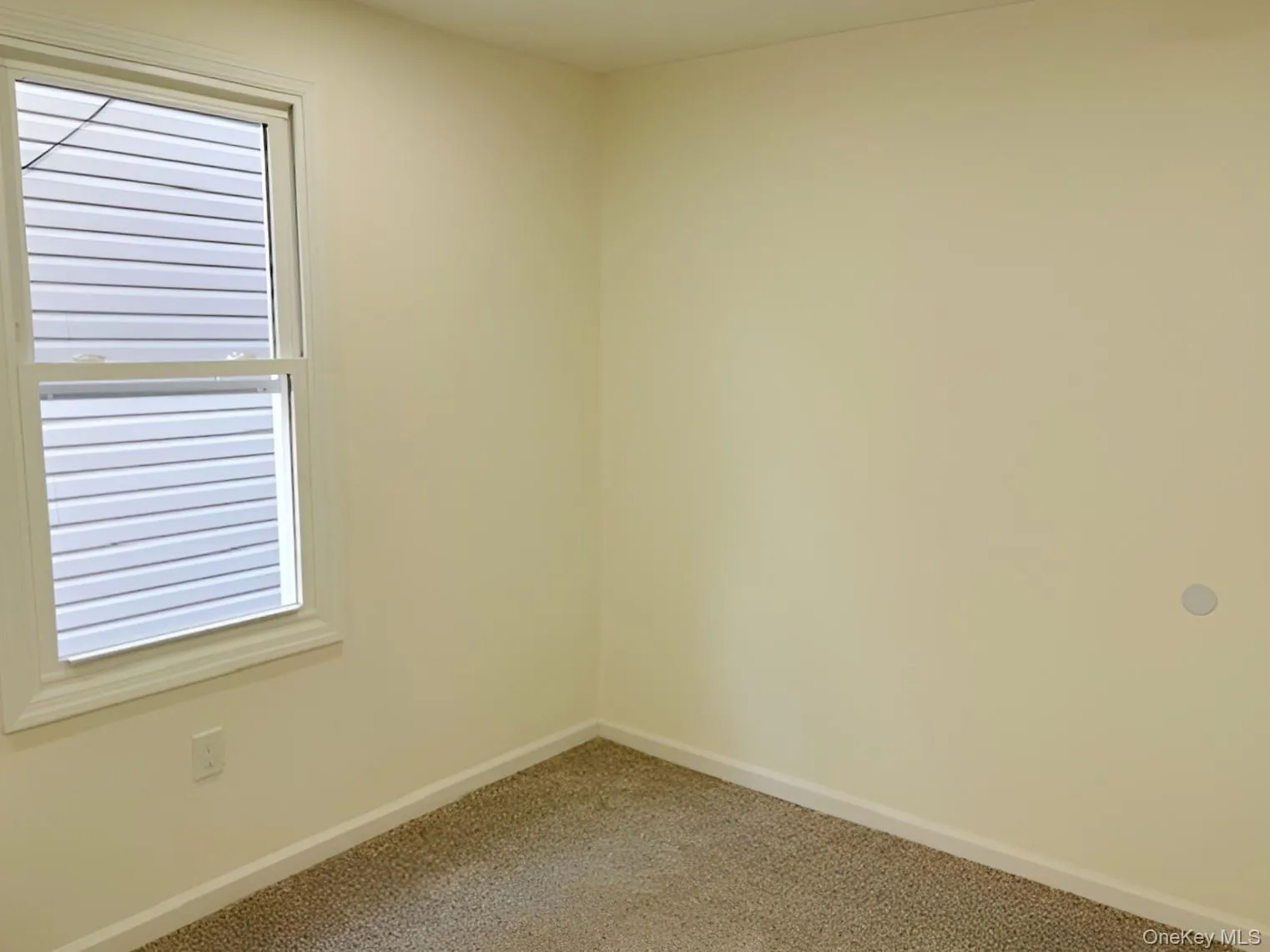 114-36 Sutter Avenue, New York, NY, 5 Bedrooms Bedrooms, 8 Rooms Rooms,1 BathroomBathrooms,Residential,For Rent,Sutter,0,1013022 114-36 Sutter Avenue, New York, NY, 5 Bedrooms Bedrooms, 8 Rooms Rooms,1 BathroomBathrooms,Residential,For Rent,Sutter,0,1013022