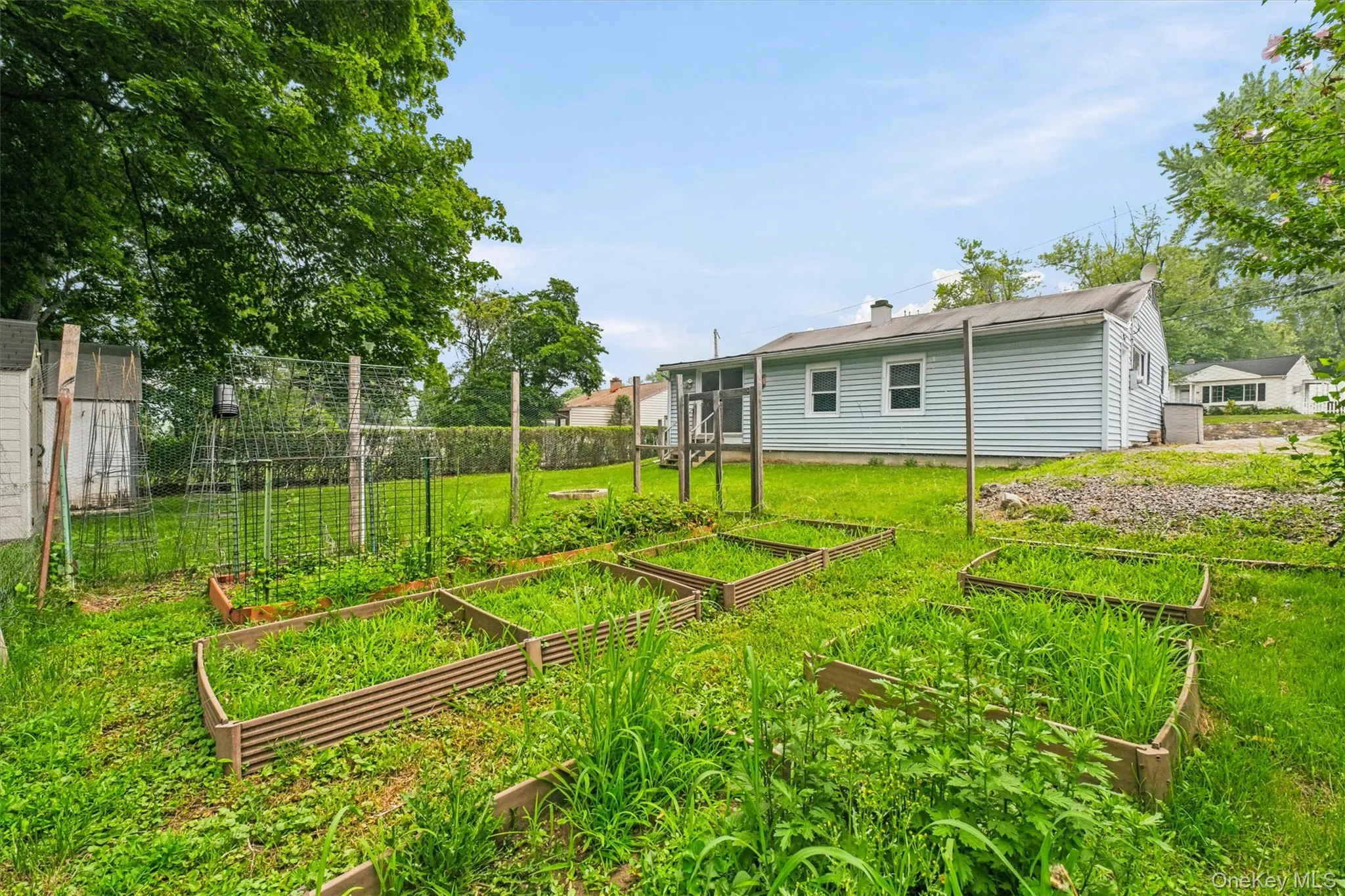 Vegetable garden area Vegetable garden area