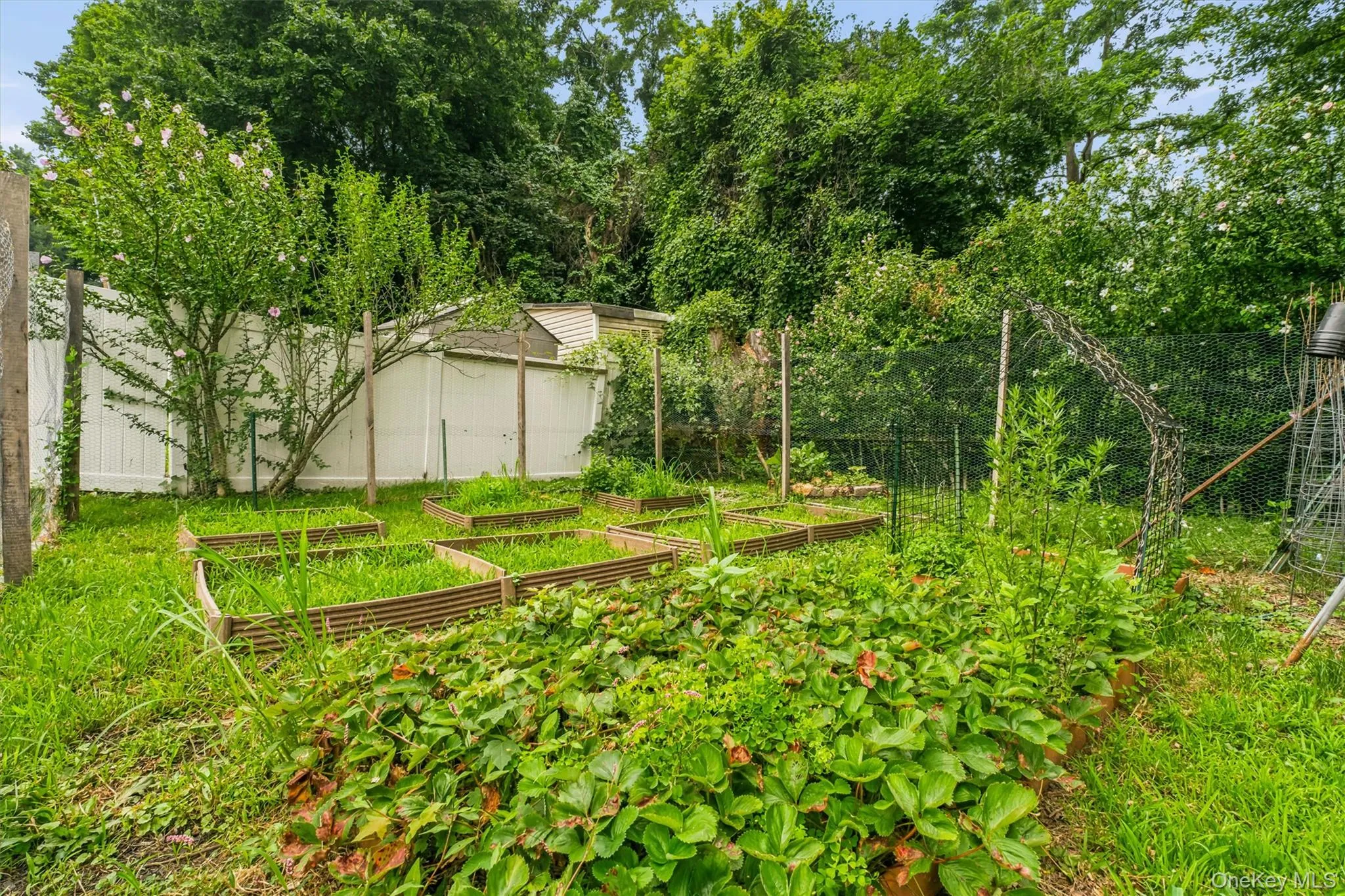 Private Backyard Private Backyard