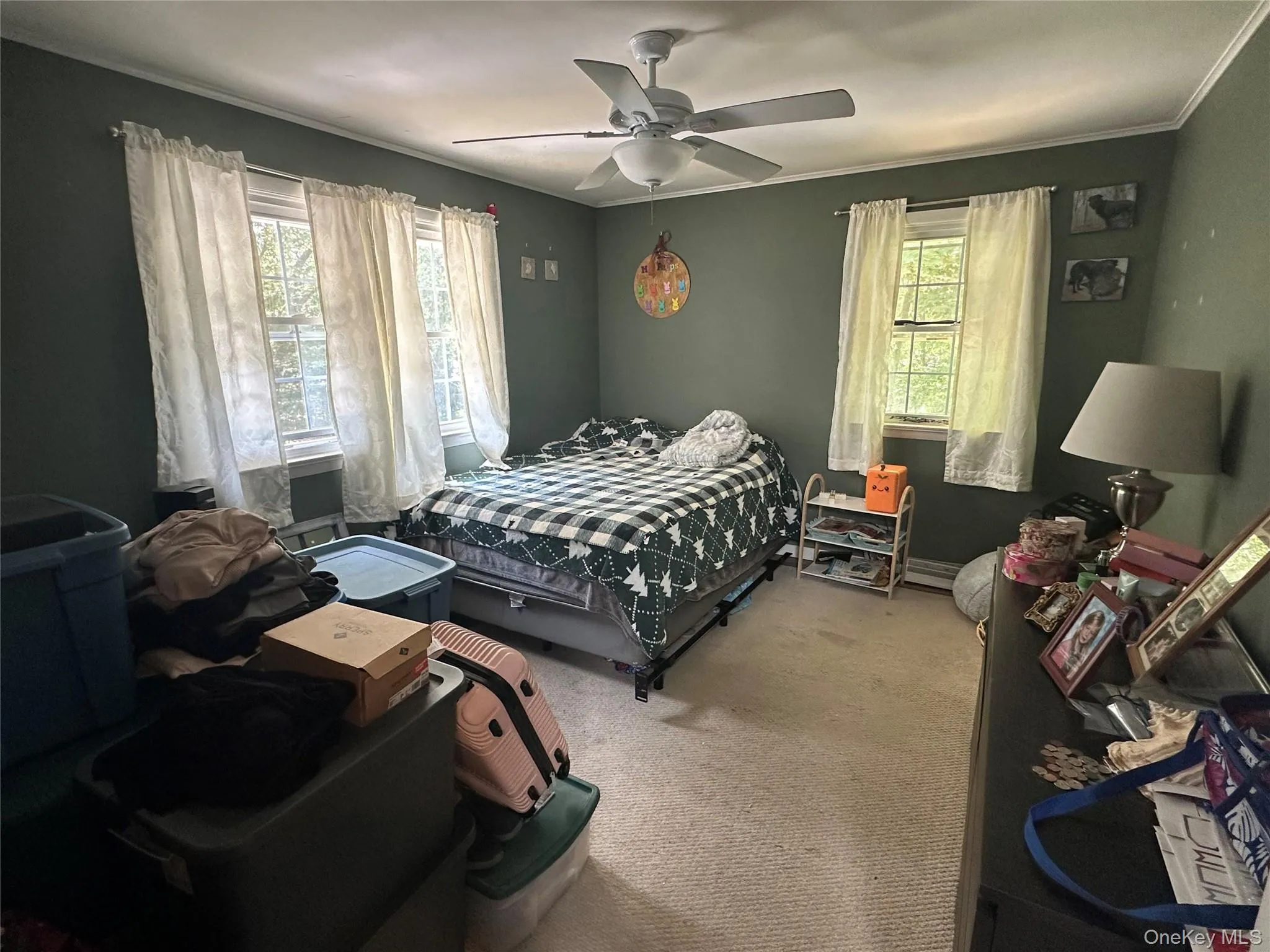 185 Holden Avenue, Southold, NY, 4 Bedrooms Bedrooms, 8 Rooms Rooms,2 BathroomsBathrooms,Residential,For Rent,Holden,0,1013051 185 Holden Avenue, Southold, NY, 4 Bedrooms Bedrooms, 8 Rooms Rooms,2 BathroomsBathrooms,Residential,For Rent,Holden,0,1013051