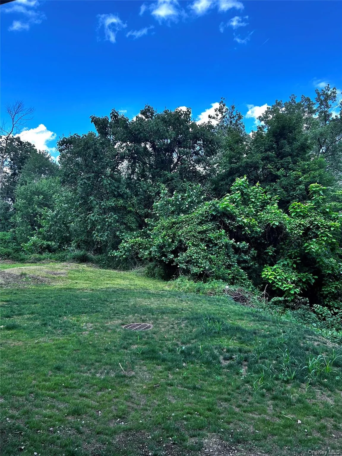 Backyard Backyard