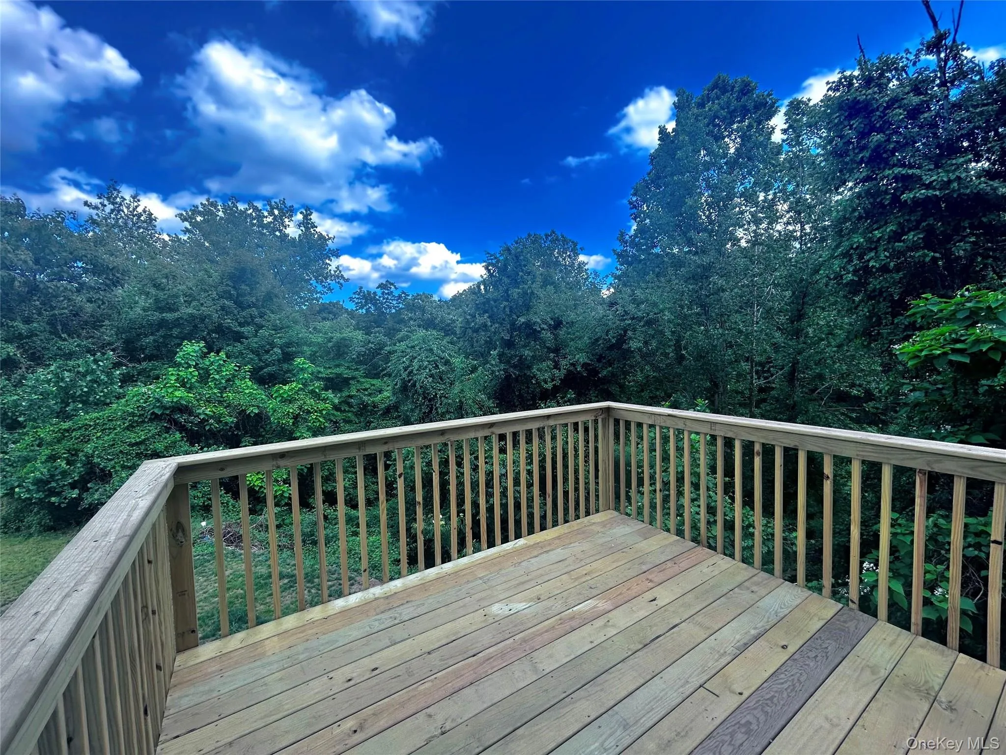 Deck View Deck View
