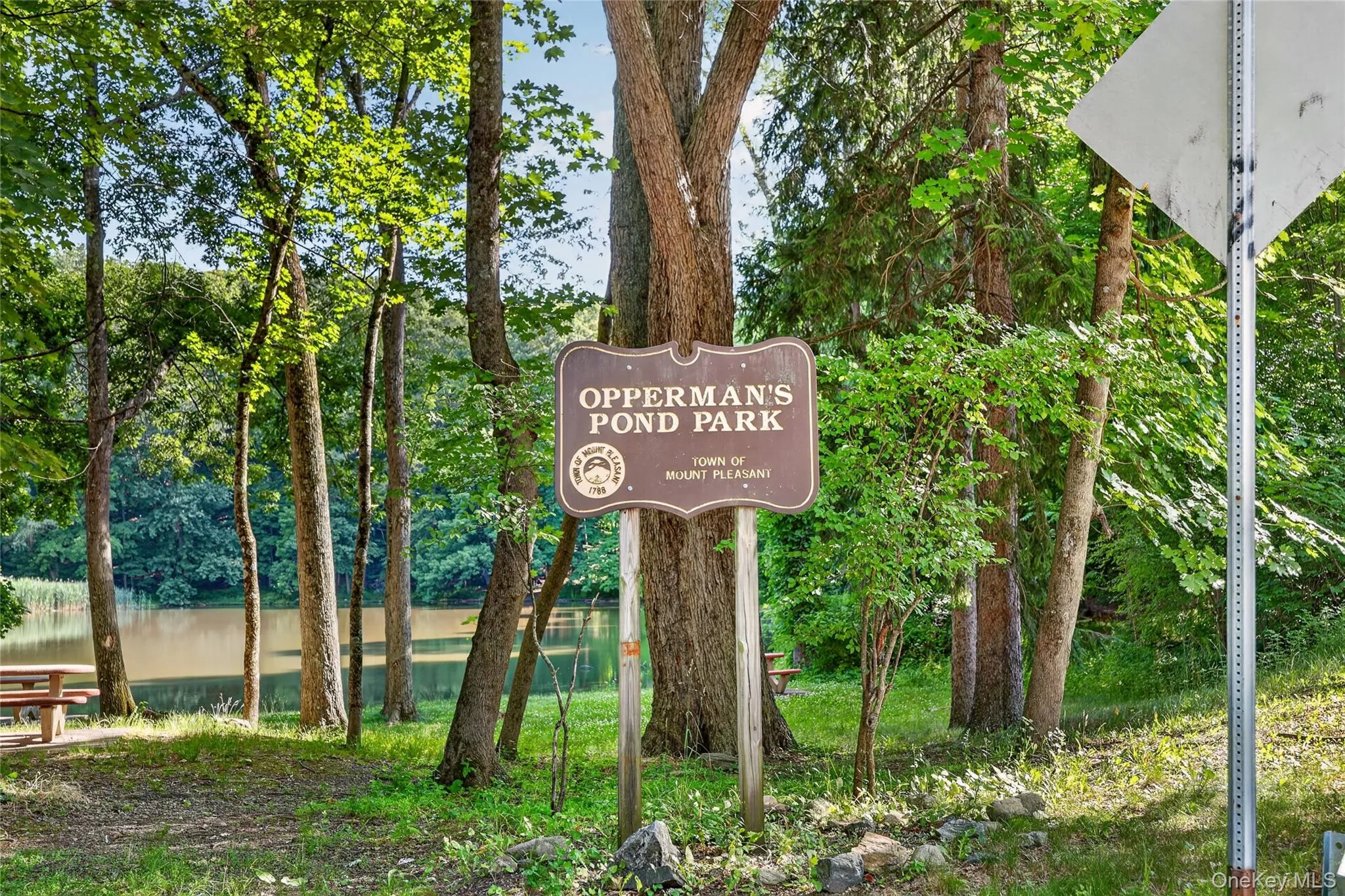 1 Woodland Drive, Mount Pleasant, NY, 4 Bedrooms Bedrooms, 8 Rooms Rooms,2 BathroomsBathrooms,Residential,For Rent,Woodland,0,1013140 1 Woodland Drive, Mount Pleasant, NY, 4 Bedrooms Bedrooms, 8 Rooms Rooms,2 BathroomsBathrooms,Residential,For Rent,Woodland,0,1013140