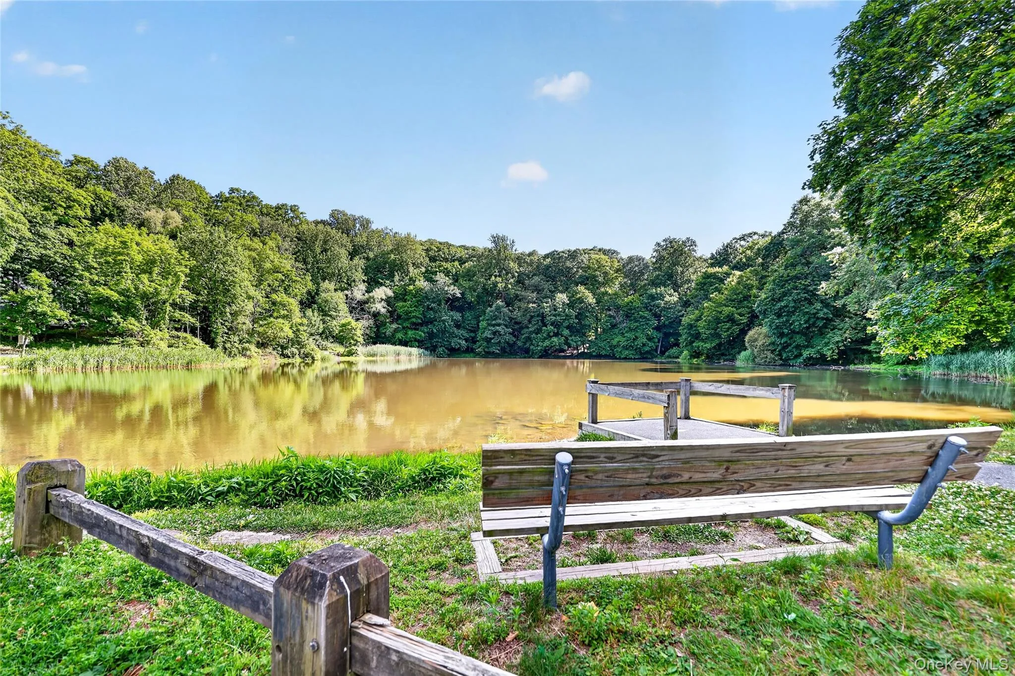 1 Woodland Drive, Mount Pleasant, NY, 4 Bedrooms Bedrooms, 8 Rooms Rooms,2 BathroomsBathrooms,Residential,For Rent,Woodland,0,1013140 1 Woodland Drive, Mount Pleasant, NY, 4 Bedrooms Bedrooms, 8 Rooms Rooms,2 BathroomsBathrooms,Residential,For Rent,Woodland,0,1013140