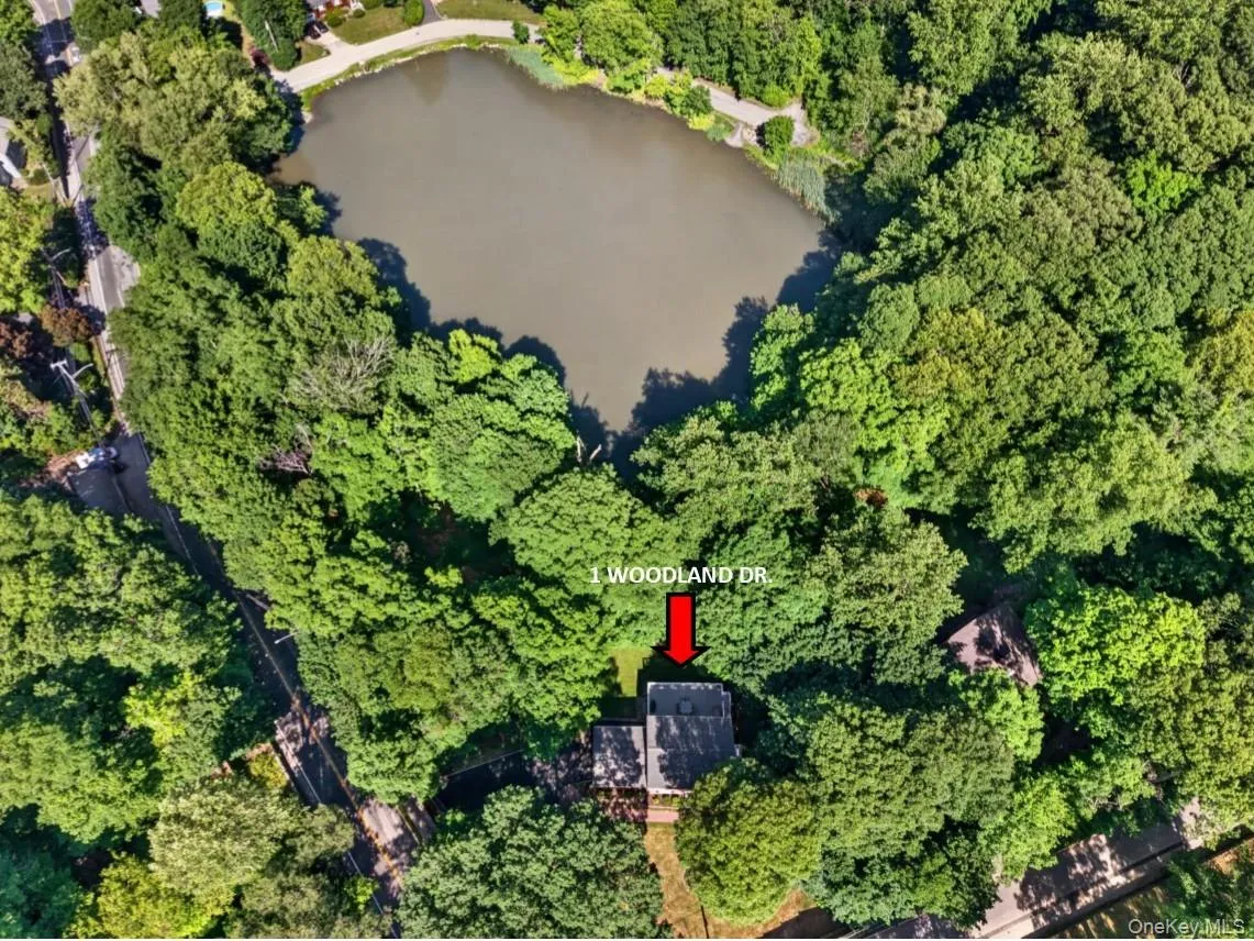 1 Woodland Drive, Mount Pleasant, NY, 4 Bedrooms Bedrooms, 8 Rooms Rooms,2 BathroomsBathrooms,Residential,For Rent,Woodland,0,1013140 1 Woodland Drive, Mount Pleasant, NY, 4 Bedrooms Bedrooms, 8 Rooms Rooms,2 BathroomsBathrooms,Residential,For Rent,Woodland,0,1013140