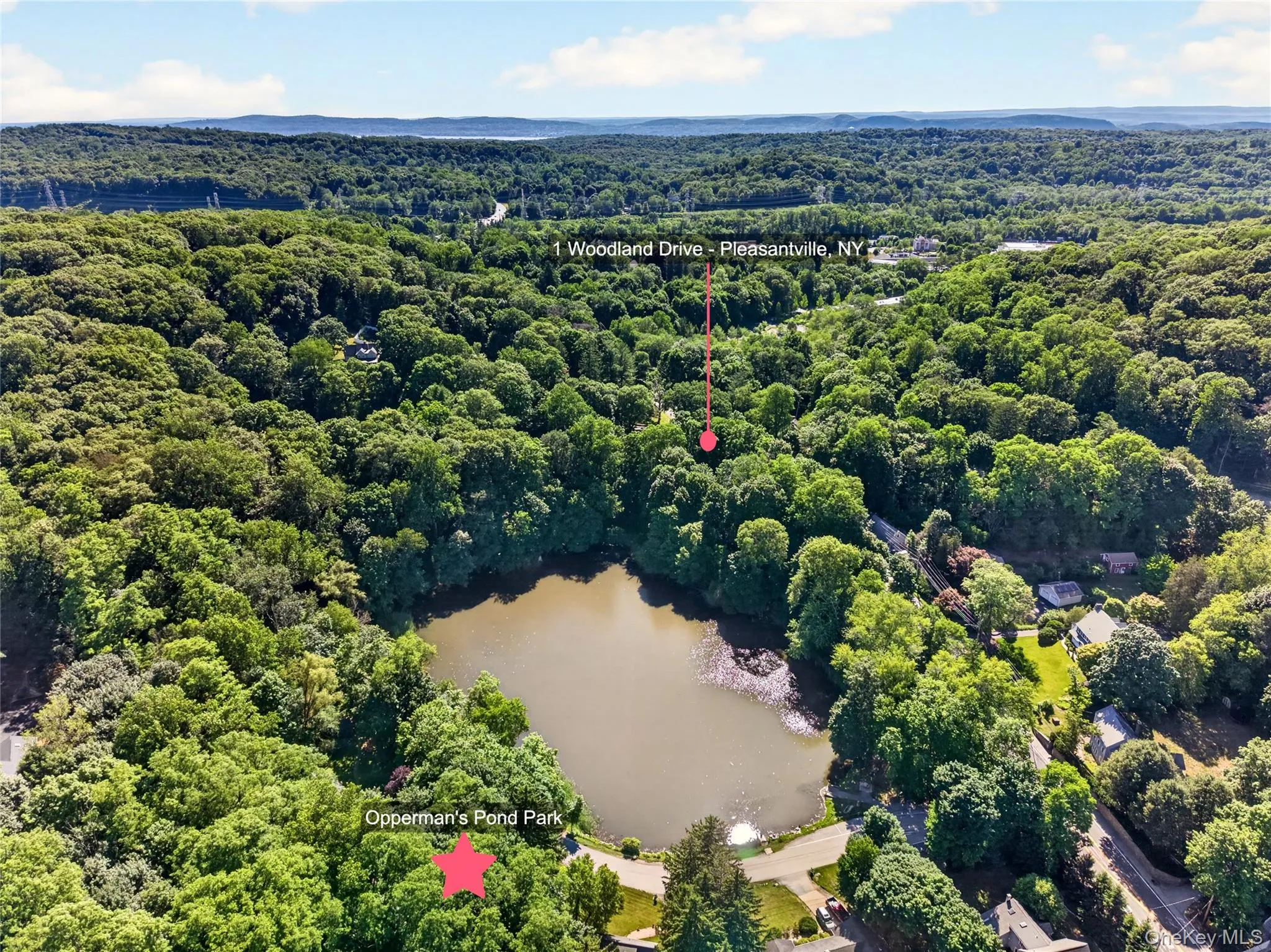 1 Woodland Drive, Mount Pleasant, NY, 4 Bedrooms Bedrooms, 8 Rooms Rooms,2 BathroomsBathrooms,Residential,For Rent,Woodland,0,1013140 1 Woodland Drive, Mount Pleasant, NY, 4 Bedrooms Bedrooms, 8 Rooms Rooms,2 BathroomsBathrooms,Residential,For Rent,Woodland,0,1013140