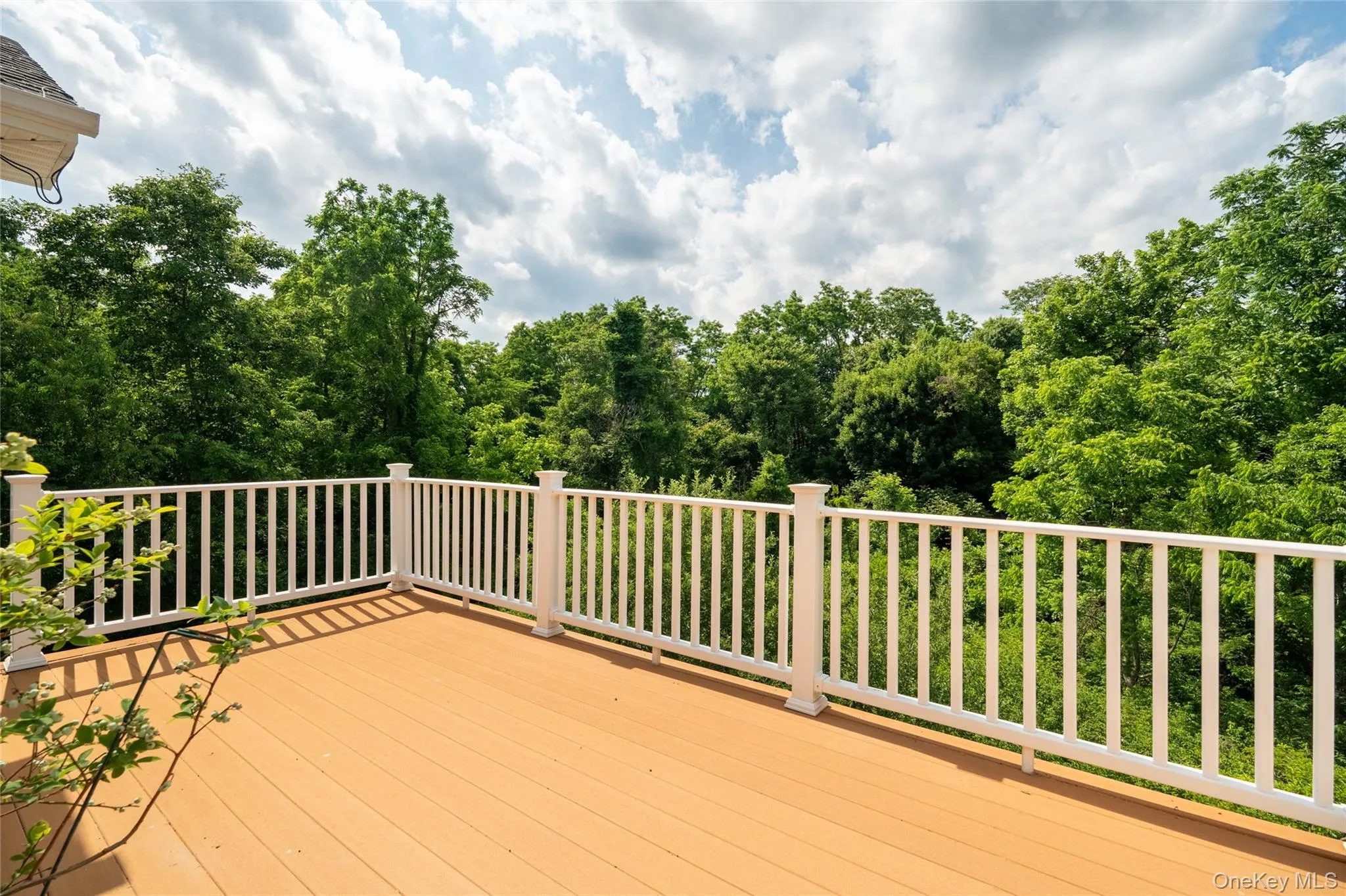 19 Ash Road, Fishkill, NY, 5 Bedrooms Bedrooms, 9 Rooms Rooms,3 BathroomsBathrooms,Residential,For Rent,Ash,0,1013146 19 Ash Road, Fishkill, NY, 5 Bedrooms Bedrooms, 9 Rooms Rooms,3 BathroomsBathrooms,Residential,For Rent,Ash,0,1013146