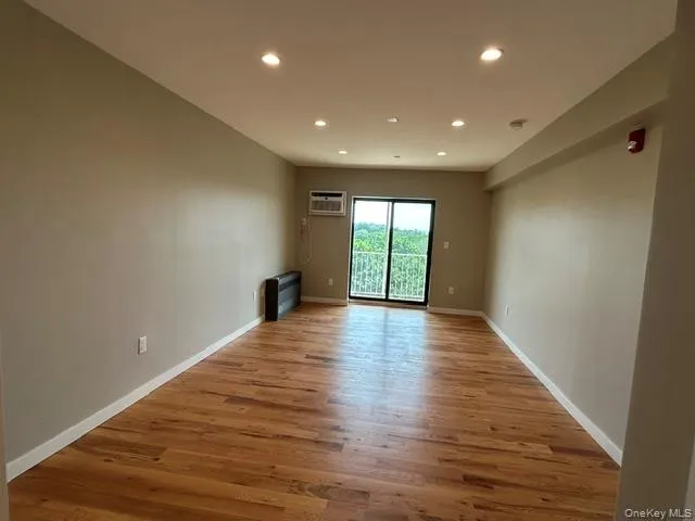 Large Living Room with brand new Wall A/C, Hardwood Flooring and Slider to Balcony Large Living Room with brand new Wall A/C, Hardwood Flooring and Slider to Balcony