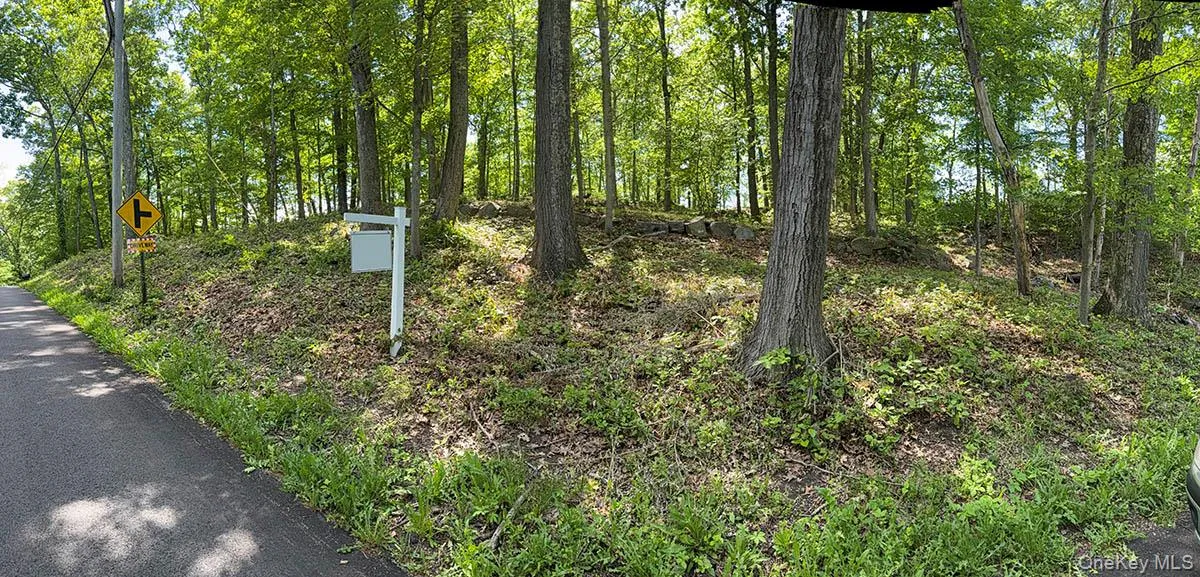 98 Ice Pond Road, Southeast, NY, ,Land,For Rent,Ice Pond,0,1013175 98 Ice Pond Road, Southeast, NY, ,Land,For Rent,Ice Pond,0,1013175