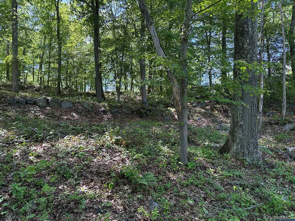 98 Ice Pond Road, Southeast, NY, ,Land,For Rent,Ice Pond,0,1013175 98 Ice Pond Road, Southeast, NY, ,Land,For Rent,Ice Pond,0,1013175
