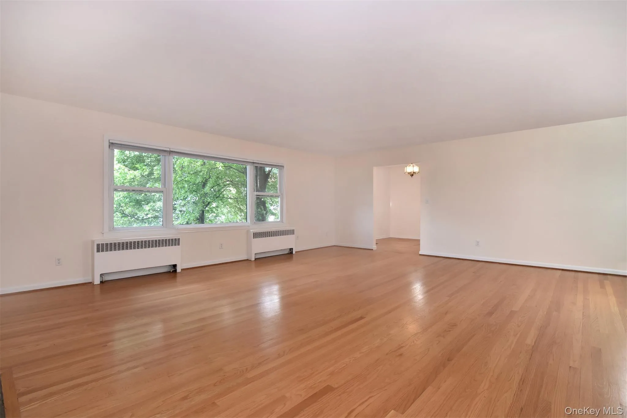 Spacious LR with west-facing picture window. Spacious LR with west-facing picture window.