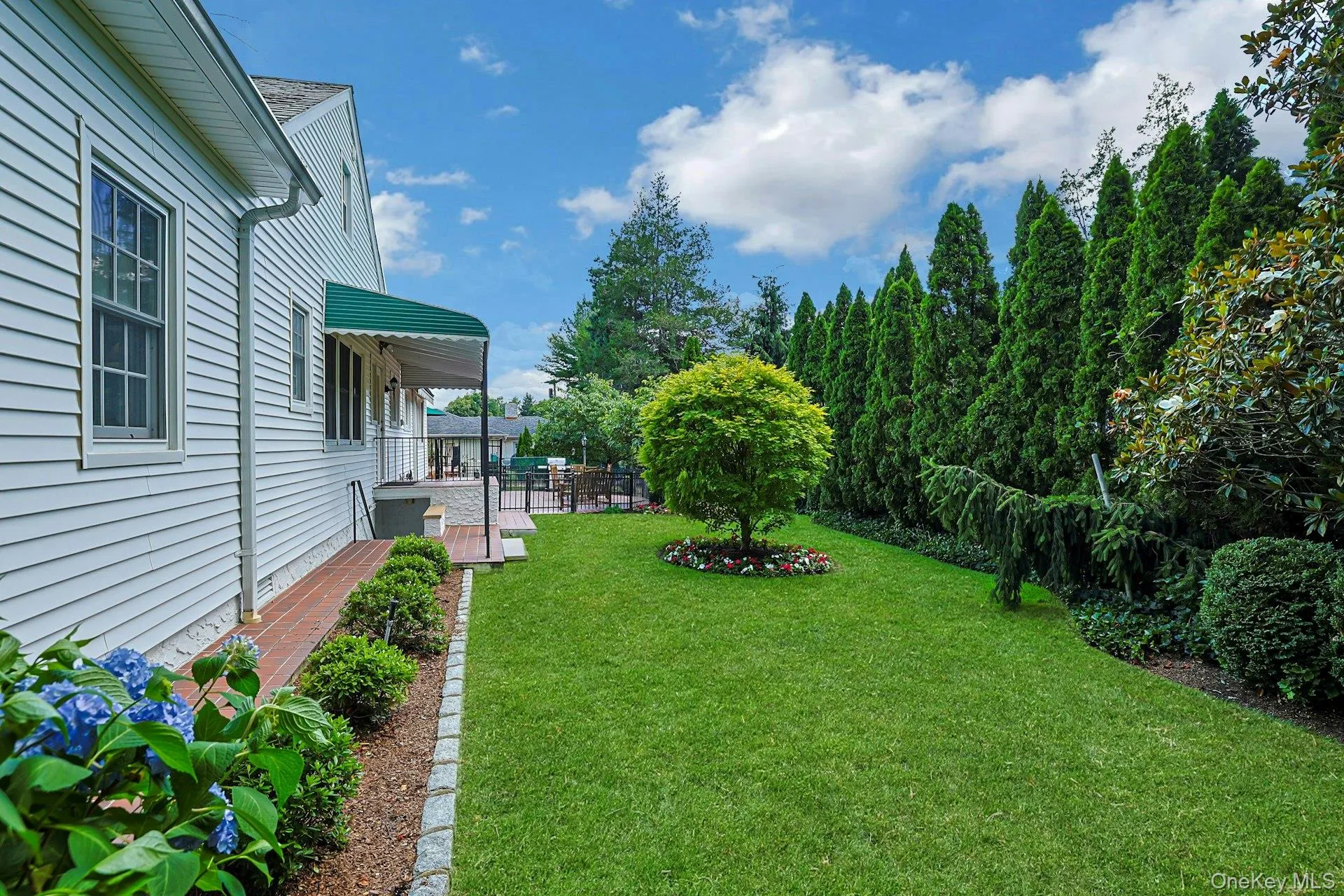 Stunning yard with specimen plantings Stunning yard with specimen plantings