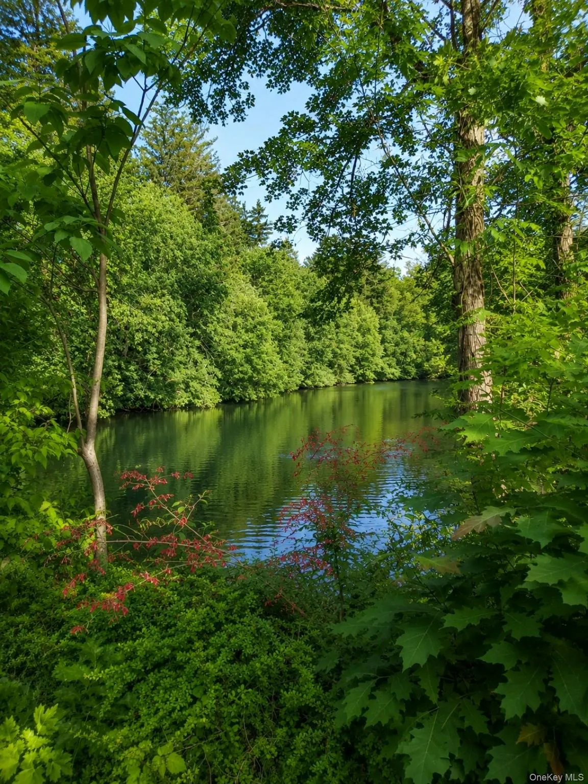 Viw of pond at the end of the street (not part of the property). Viw of pond at the end of the street (not part of the property).