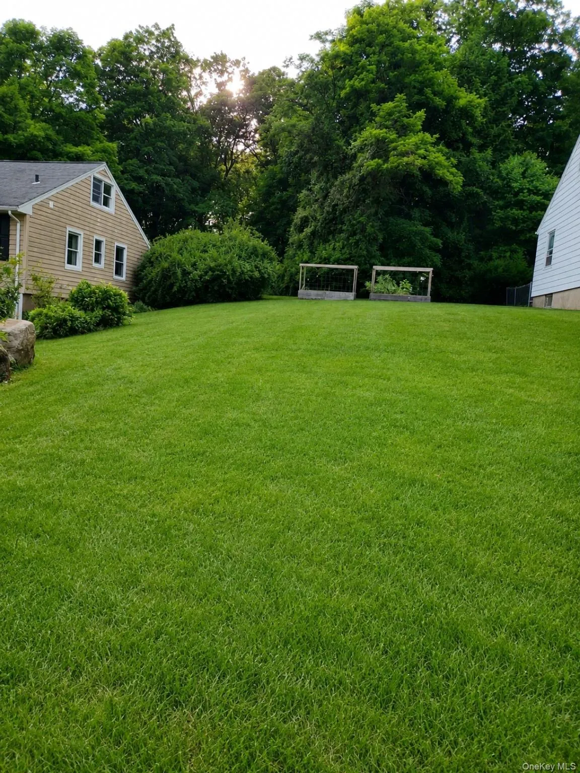 Very large back yard Very large back yard