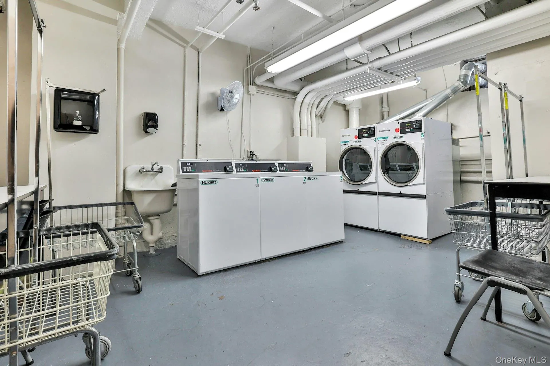 1255 North Avenue, New Rochelle, NY, 2 Bedrooms Bedrooms, 5 Rooms Rooms,2 BathroomsBathrooms,Residential,For Rent,North,0,1013253 1255 North Avenue, New Rochelle, NY, 2 Bedrooms Bedrooms, 5 Rooms Rooms,2 BathroomsBathrooms,Residential,For Rent,North,0,1013253
