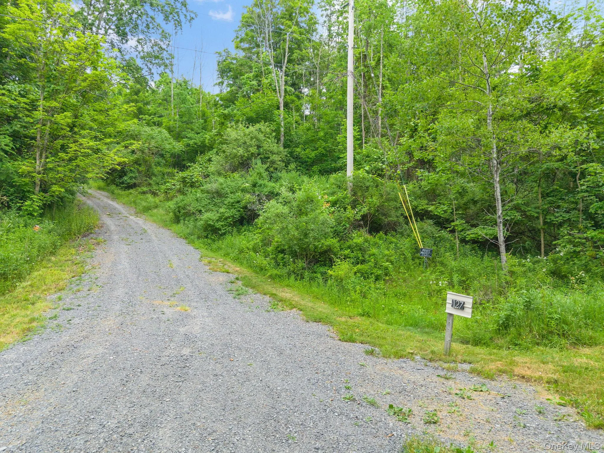 127 Grassy Road, Out Of Area, NY, 3 Bedrooms Bedrooms, 8 Rooms Rooms,2 BathroomsBathrooms,Residential,For Rent,Grassy,0,1013256 127 Grassy Road, Out Of Area, NY, 3 Bedrooms Bedrooms, 8 Rooms Rooms,2 BathroomsBathrooms,Residential,For Rent,Grassy,0,1013256