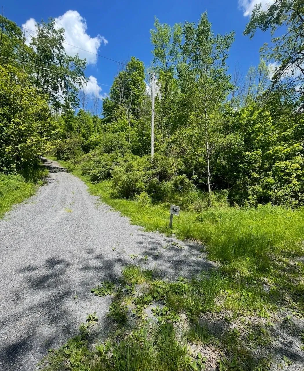127 Grassy Road, Out Of Area, NY, 3 Bedrooms Bedrooms, 8 Rooms Rooms,2 BathroomsBathrooms,Residential,For Rent,Grassy,0,1013256 127 Grassy Road, Out Of Area, NY, 3 Bedrooms Bedrooms, 8 Rooms Rooms,2 BathroomsBathrooms,Residential,For Rent,Grassy,0,1013256