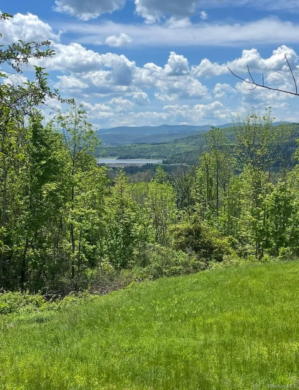 127 Grassy Road, Out Of Area, NY, 3 Bedrooms Bedrooms, 8 Rooms Rooms,2 BathroomsBathrooms,Residential,For Rent,Grassy,0,1013256 127 Grassy Road, Out Of Area, NY, 3 Bedrooms Bedrooms, 8 Rooms Rooms,2 BathroomsBathrooms,Residential,For Rent,Grassy,0,1013256