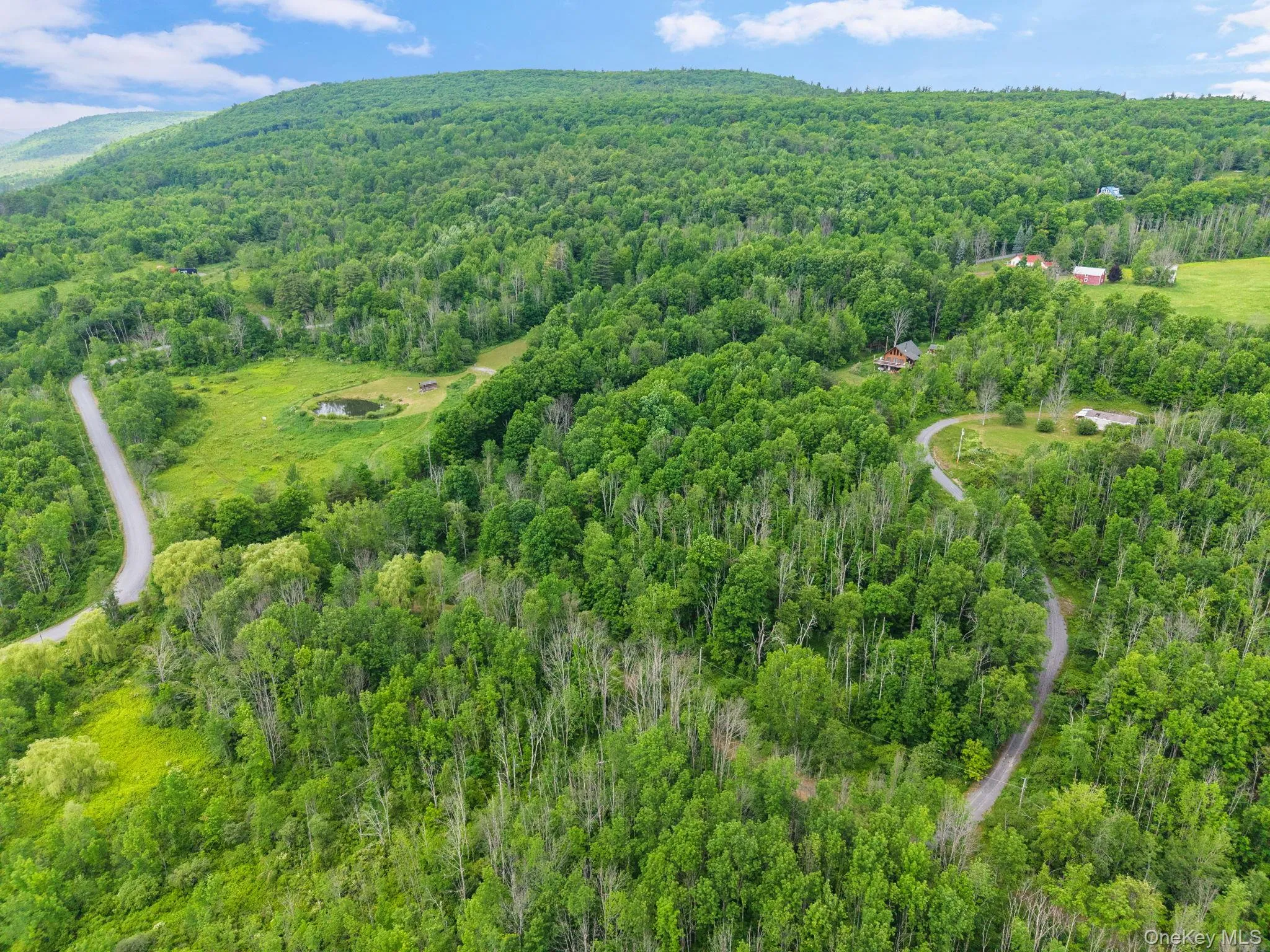 127 Grassy Road, Out Of Area, NY, 3 Bedrooms Bedrooms, 8 Rooms Rooms,2 BathroomsBathrooms,Residential,For Rent,Grassy,0,1013256 127 Grassy Road, Out Of Area, NY, 3 Bedrooms Bedrooms, 8 Rooms Rooms,2 BathroomsBathrooms,Residential,For Rent,Grassy,0,1013256