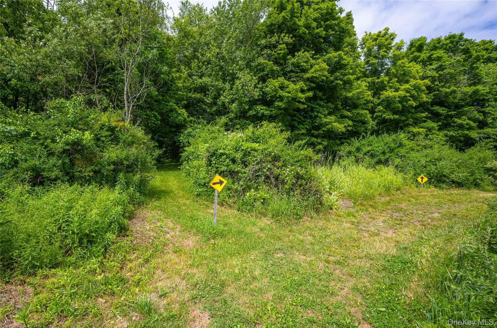 202 Quaker Lane, Hyde Park, NY, 3 Bedrooms Bedrooms, 7 Rooms Rooms,2 BathroomsBathrooms,Residential,For Rent,Quaker,0,1013272 202 Quaker Lane, Hyde Park, NY, 3 Bedrooms Bedrooms, 7 Rooms Rooms,2 BathroomsBathrooms,Residential,For Rent,Quaker,0,1013272